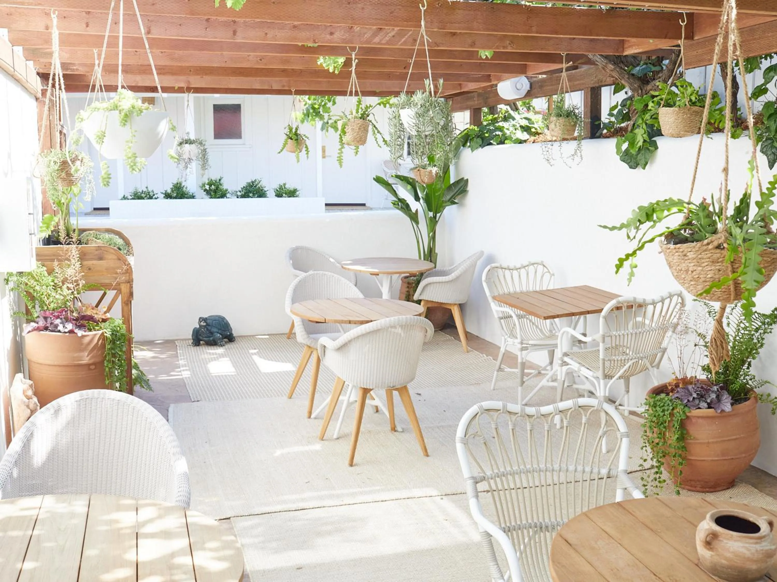 Patio in Farmhouse Paso