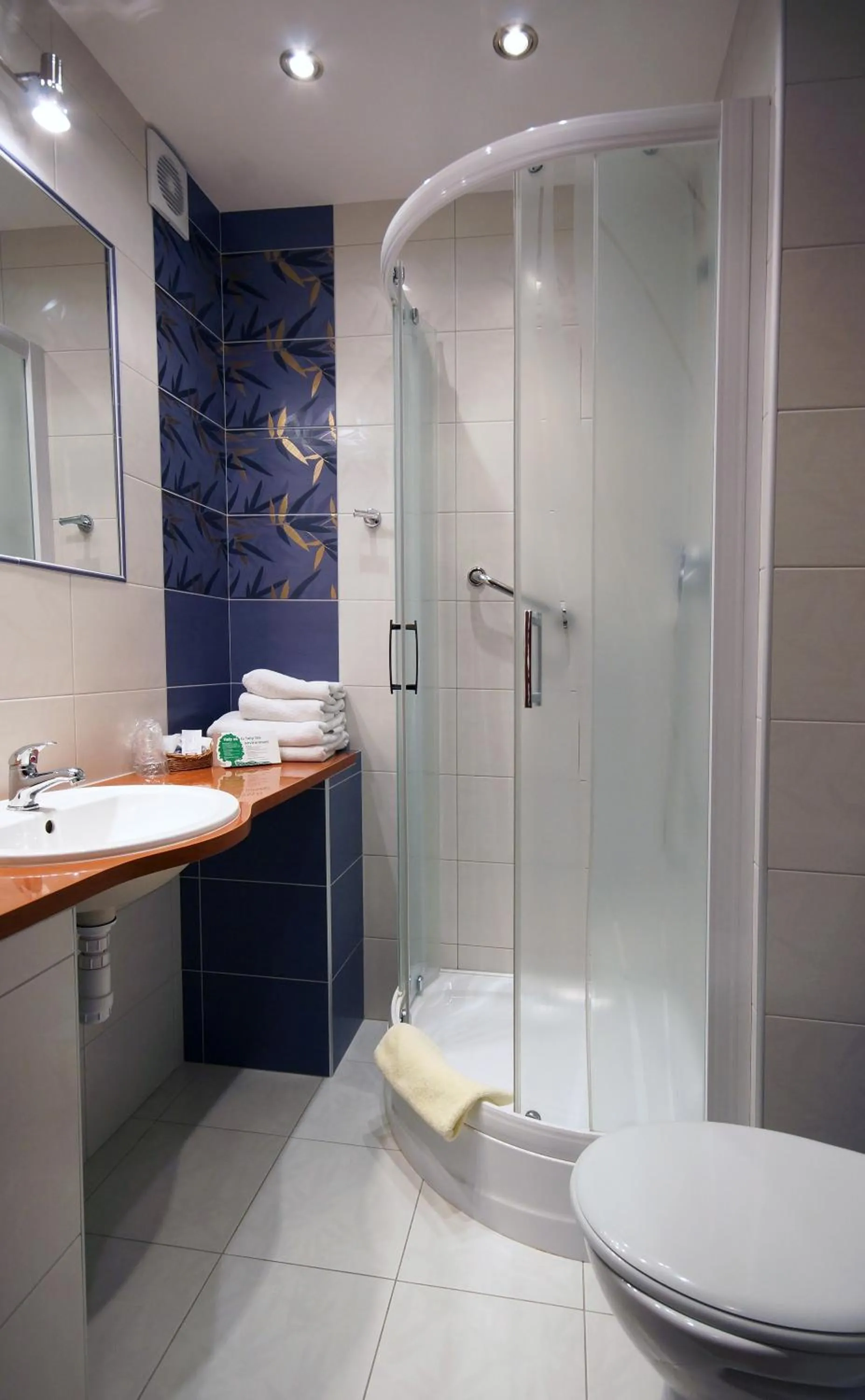 Deluxe Single Room in Hotel Kamena