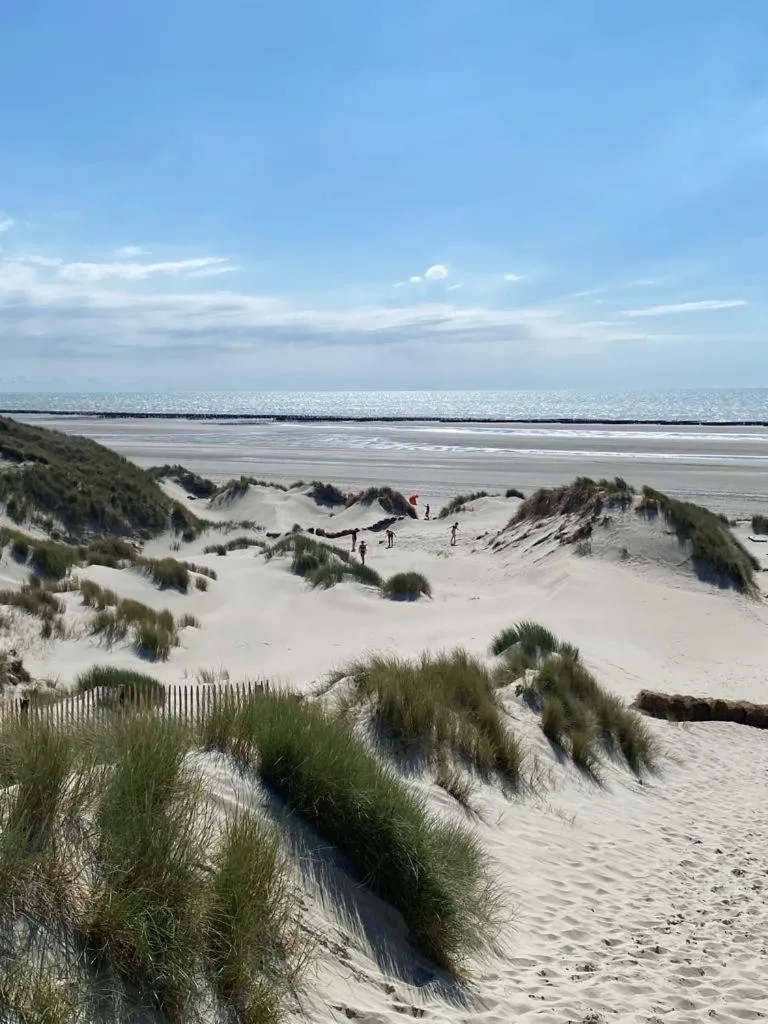 Beach in LE 16 CHAMBRES D'HÔTE