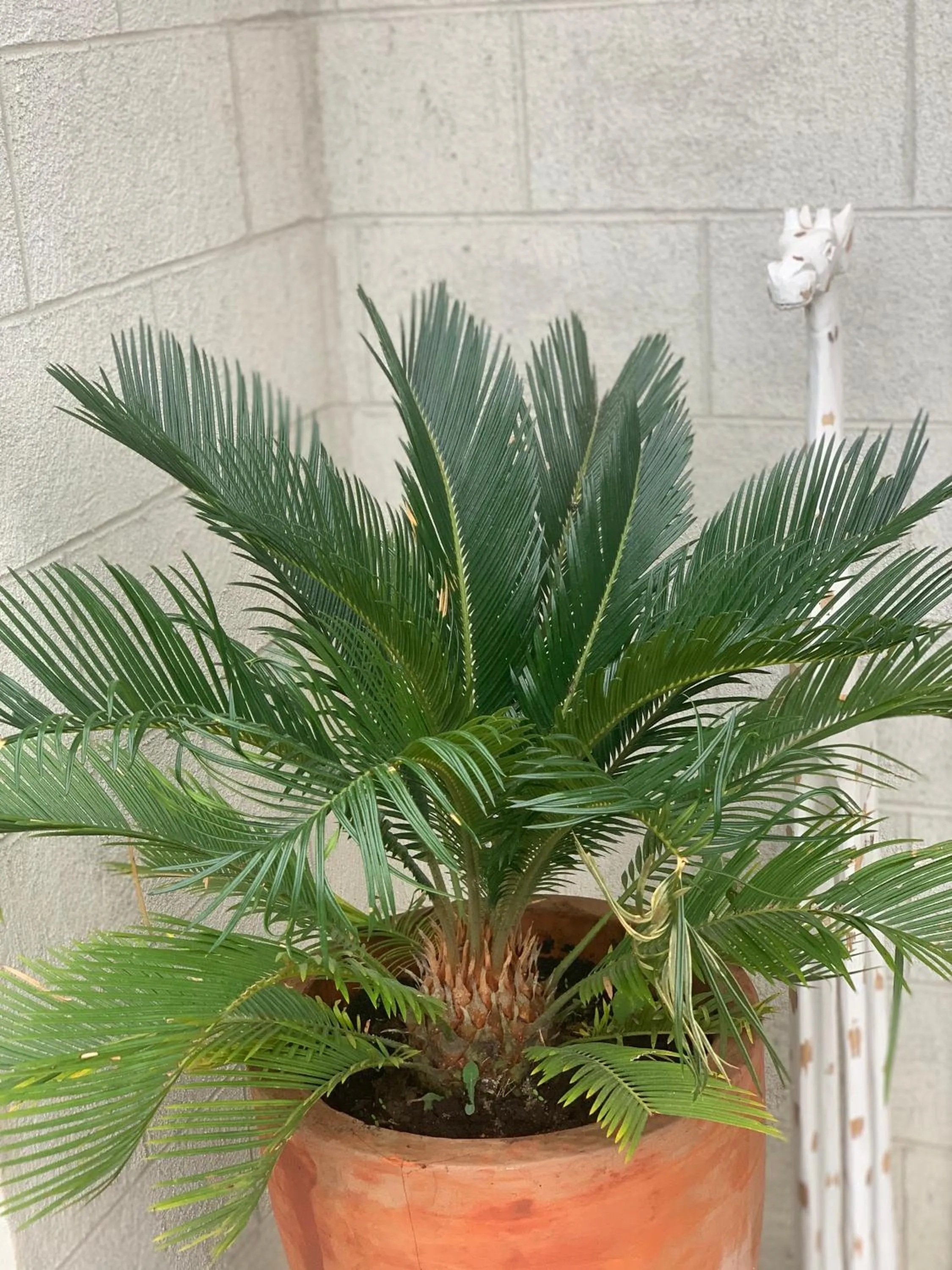 Hotel Motel Residence S