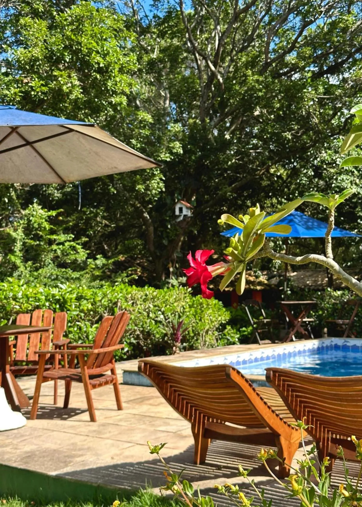 Patio in Pousada Canto do sabiá Imbassaí