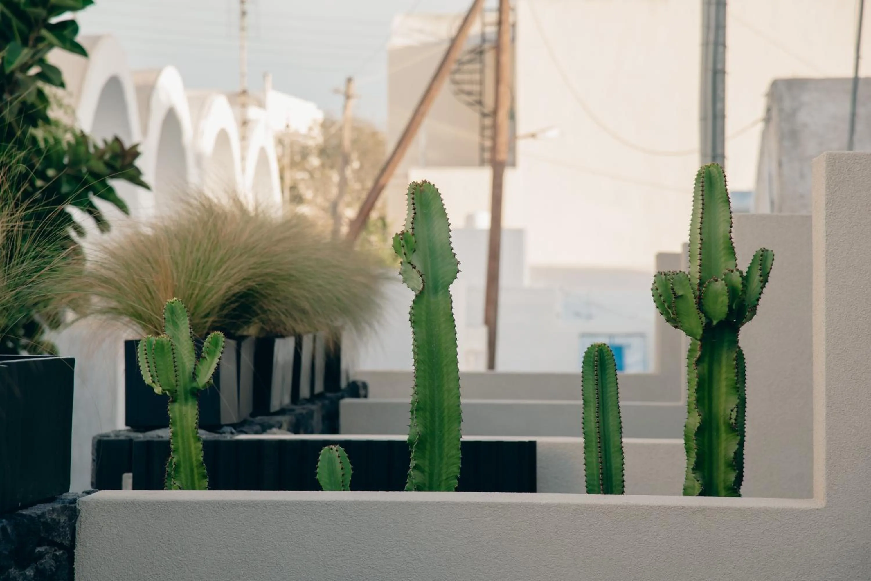 Balcony/Terrace in Alaso Design Suites