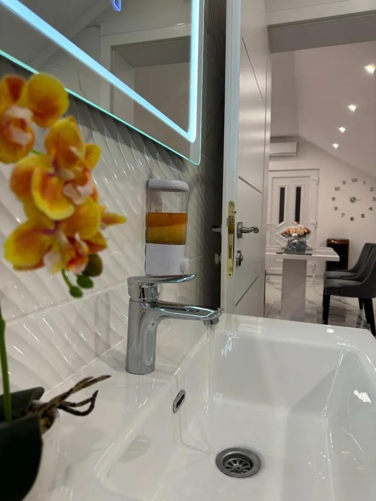 Luxury Apartment Megy