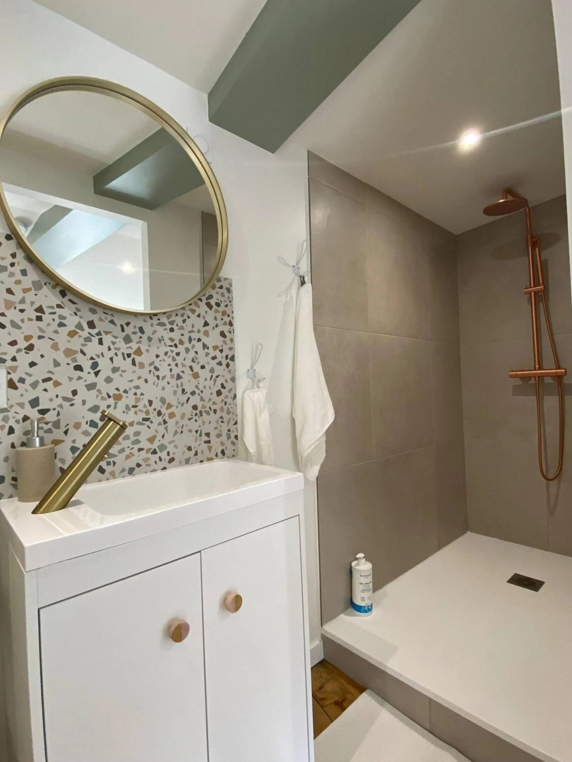 Bathroom in LE CARNOT - Valence