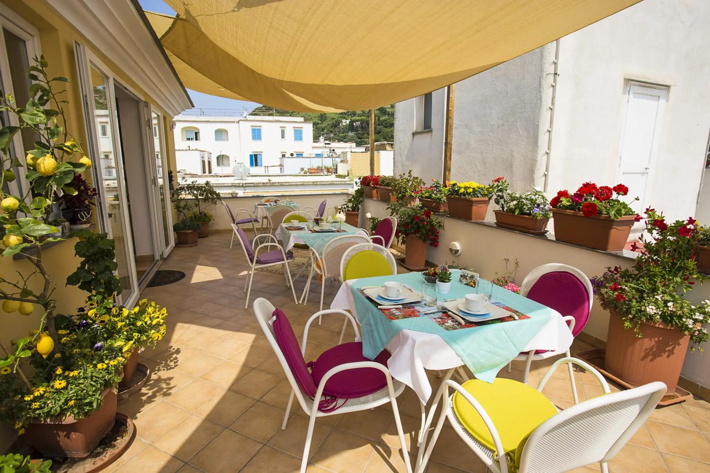 B&B Celestina Ischia B&B Celestina Ischia