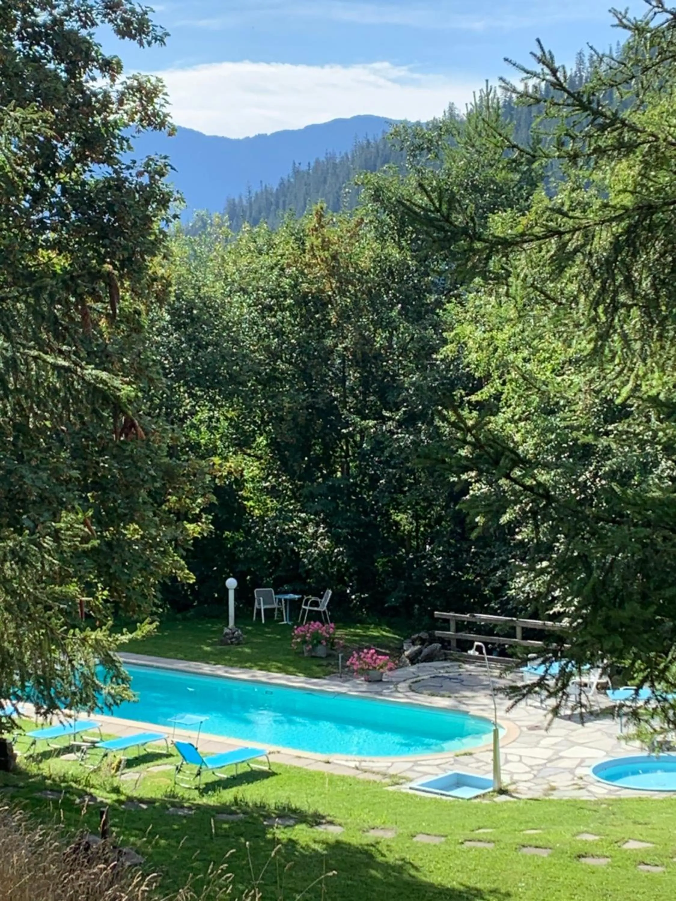 Swimming pool in Hotel Haus am Waldrand