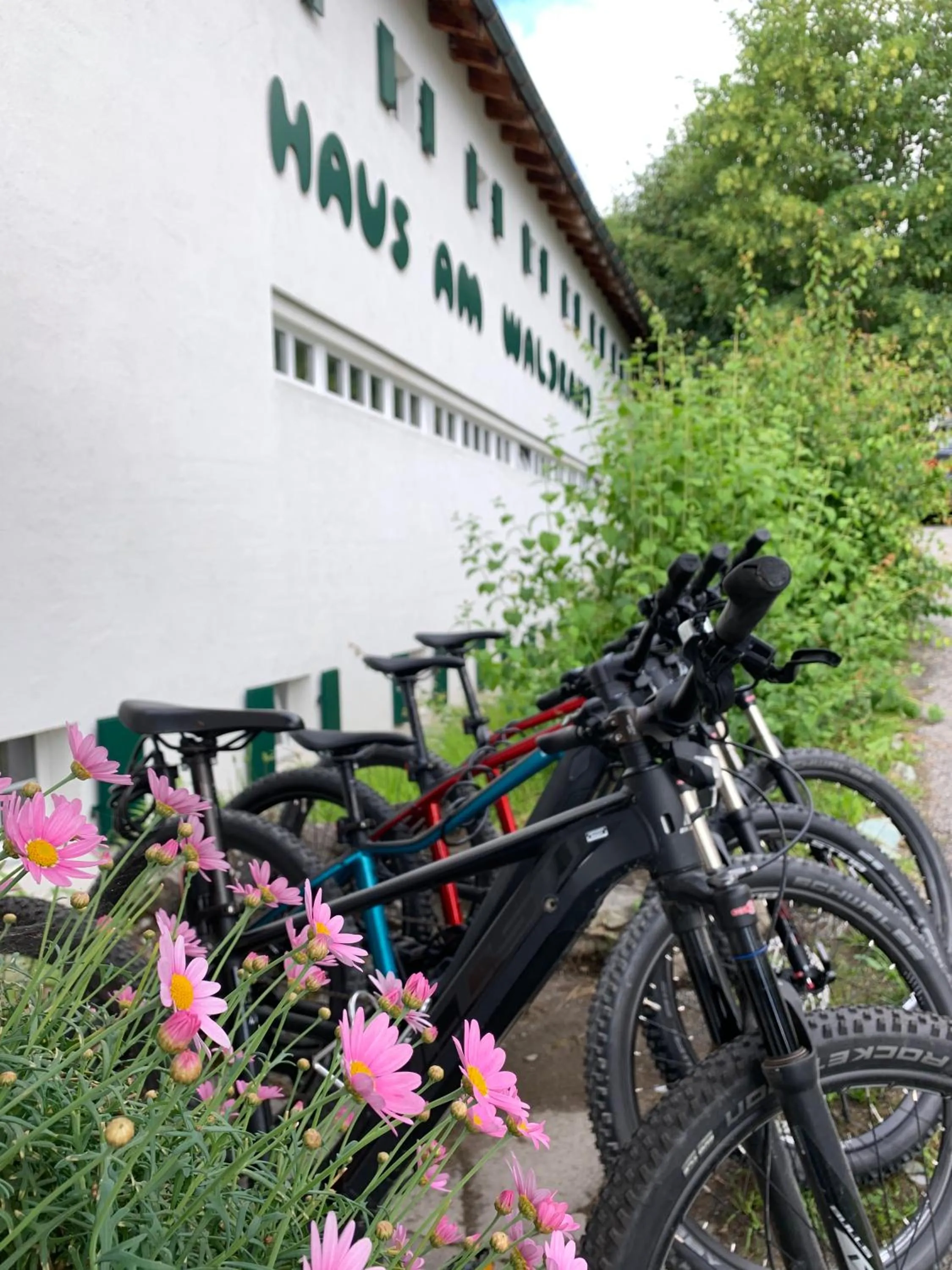 Cycling in Hotel Haus am Waldrand