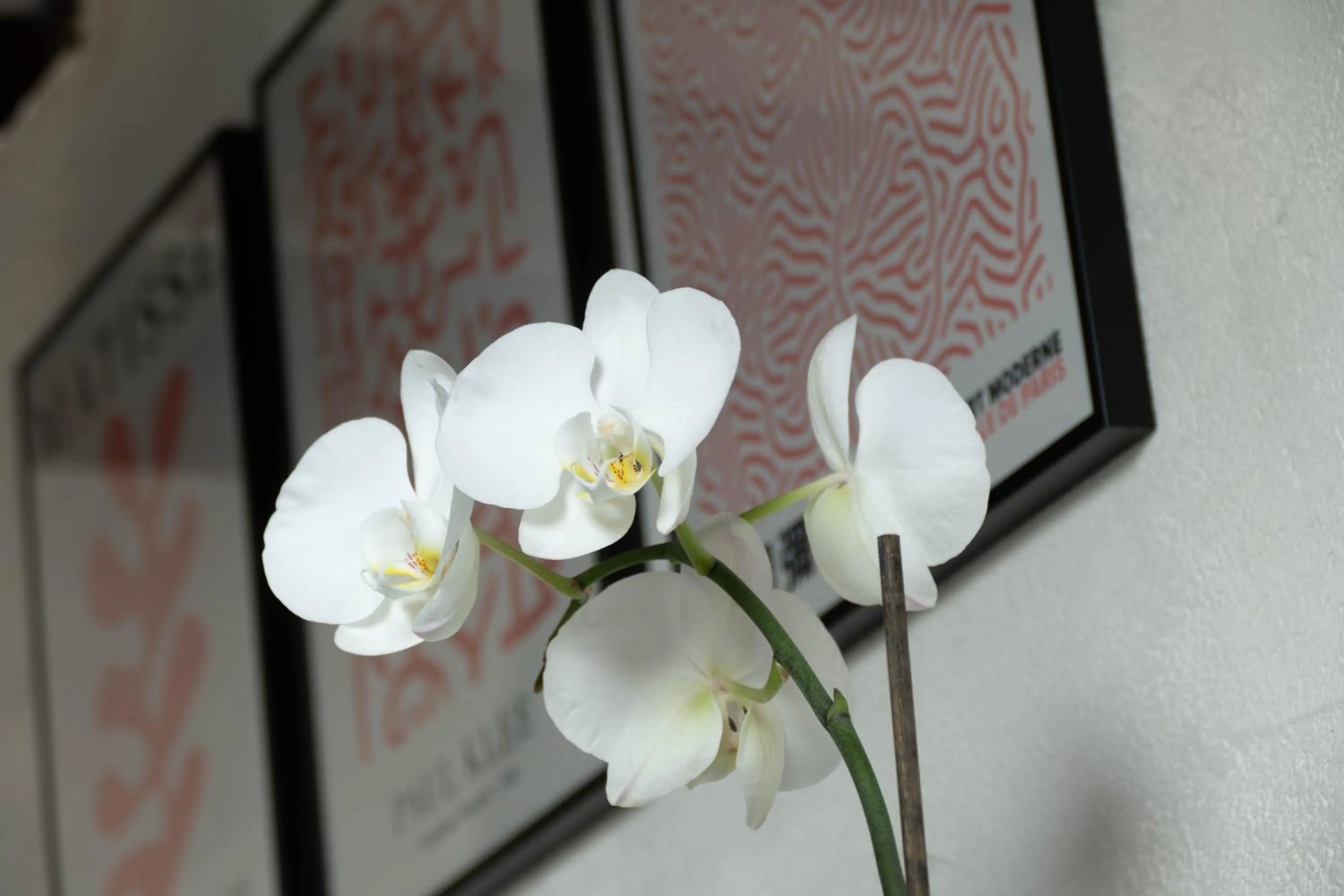 Decorative detail in Suite Toussaint - Calme & Authentique
