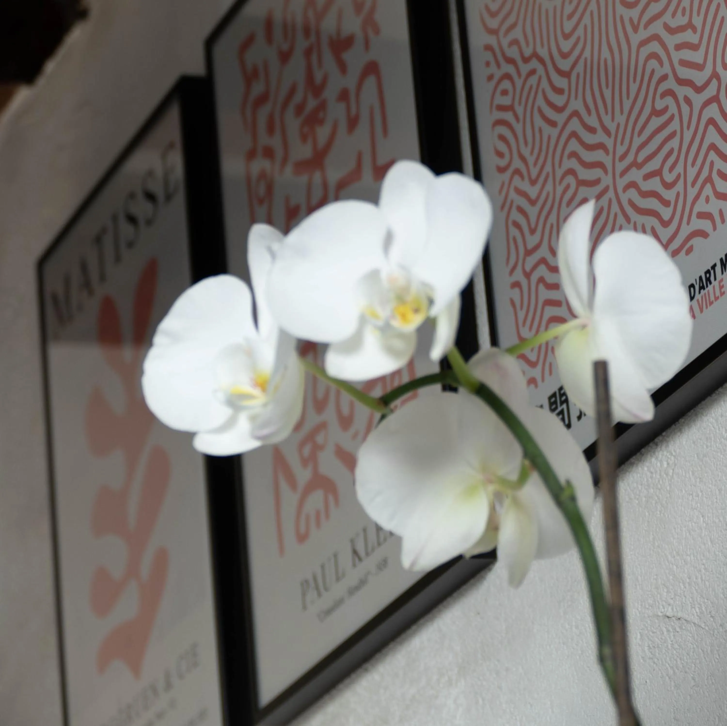 Decorative detail in Suite Toussaint - Calme & Authentique