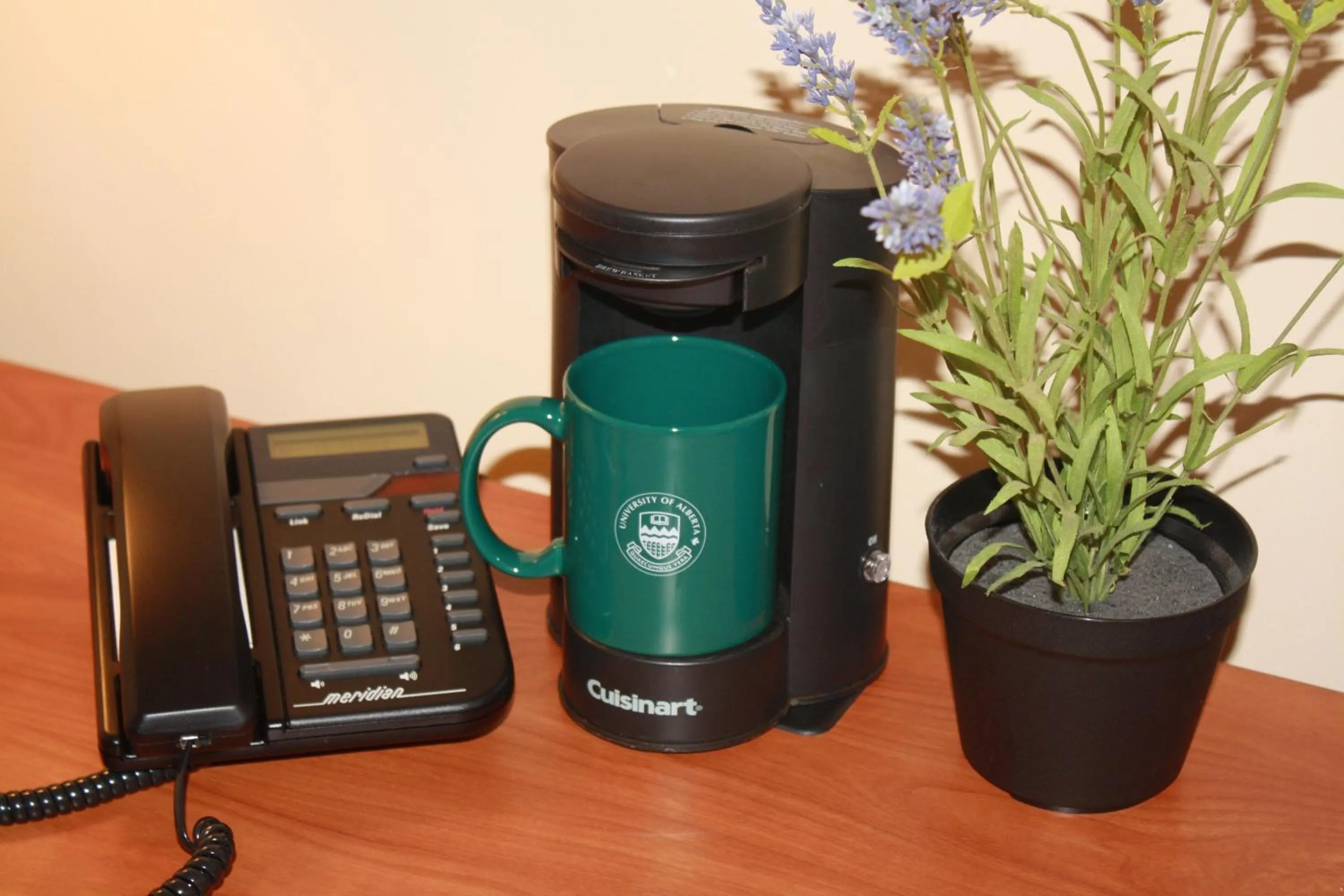 Coffee/tea facilities in University of Alberta - Hotel