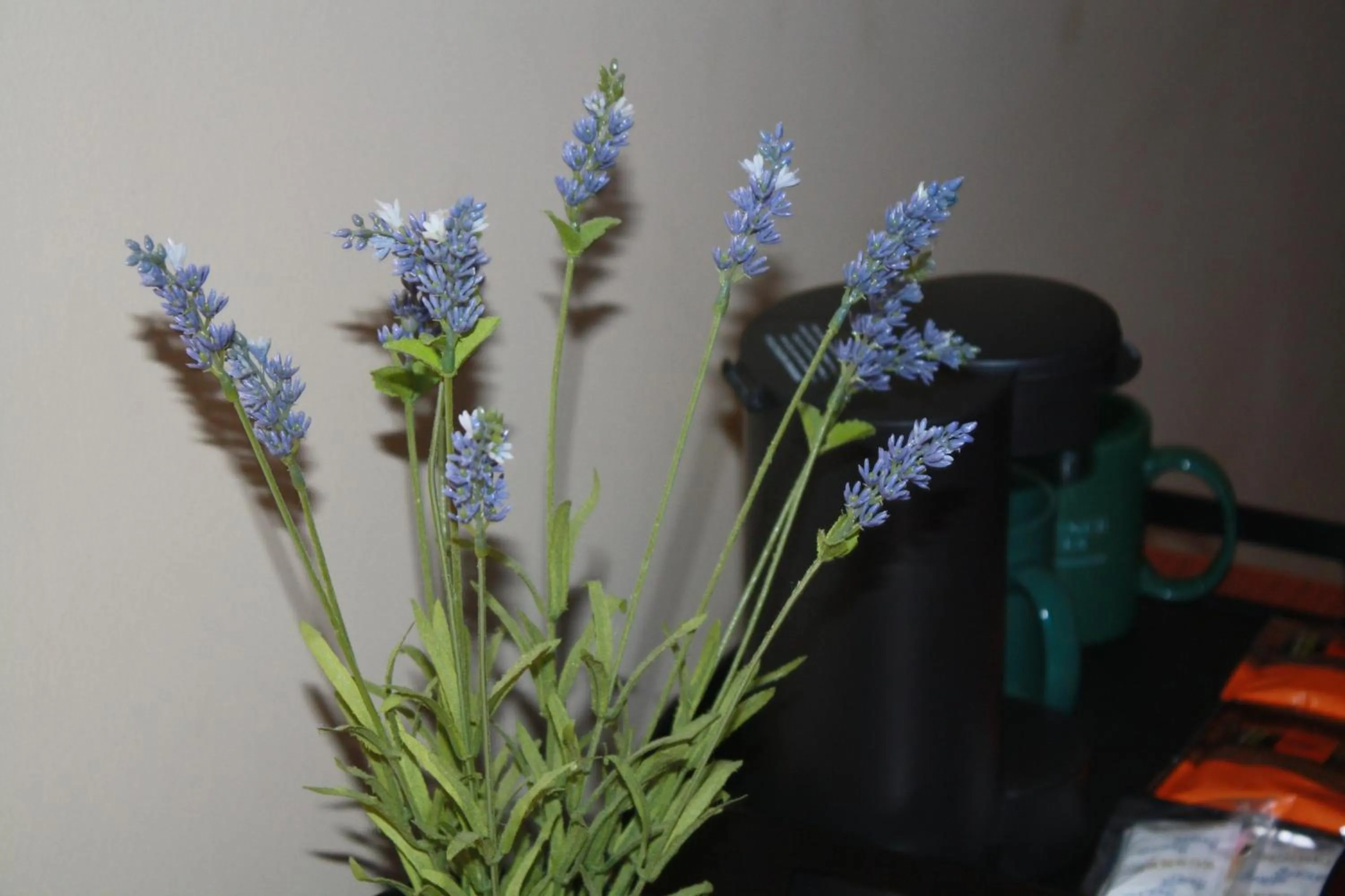 Decorative detail in University of Alberta - Hotel