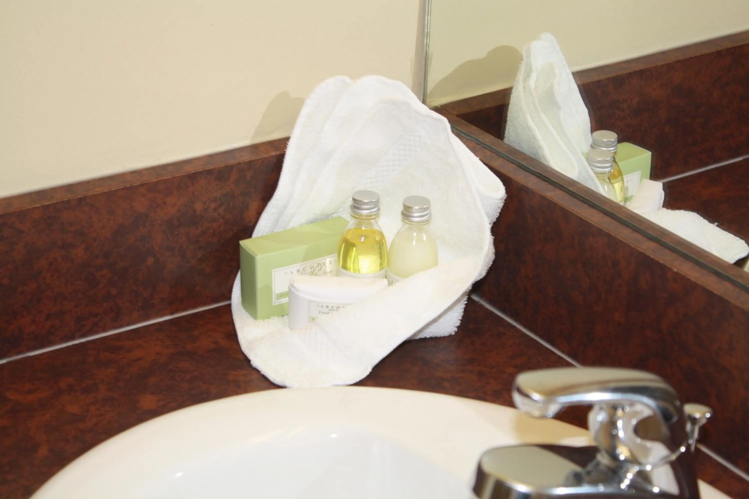 Bathroom in University of Alberta - Hotel