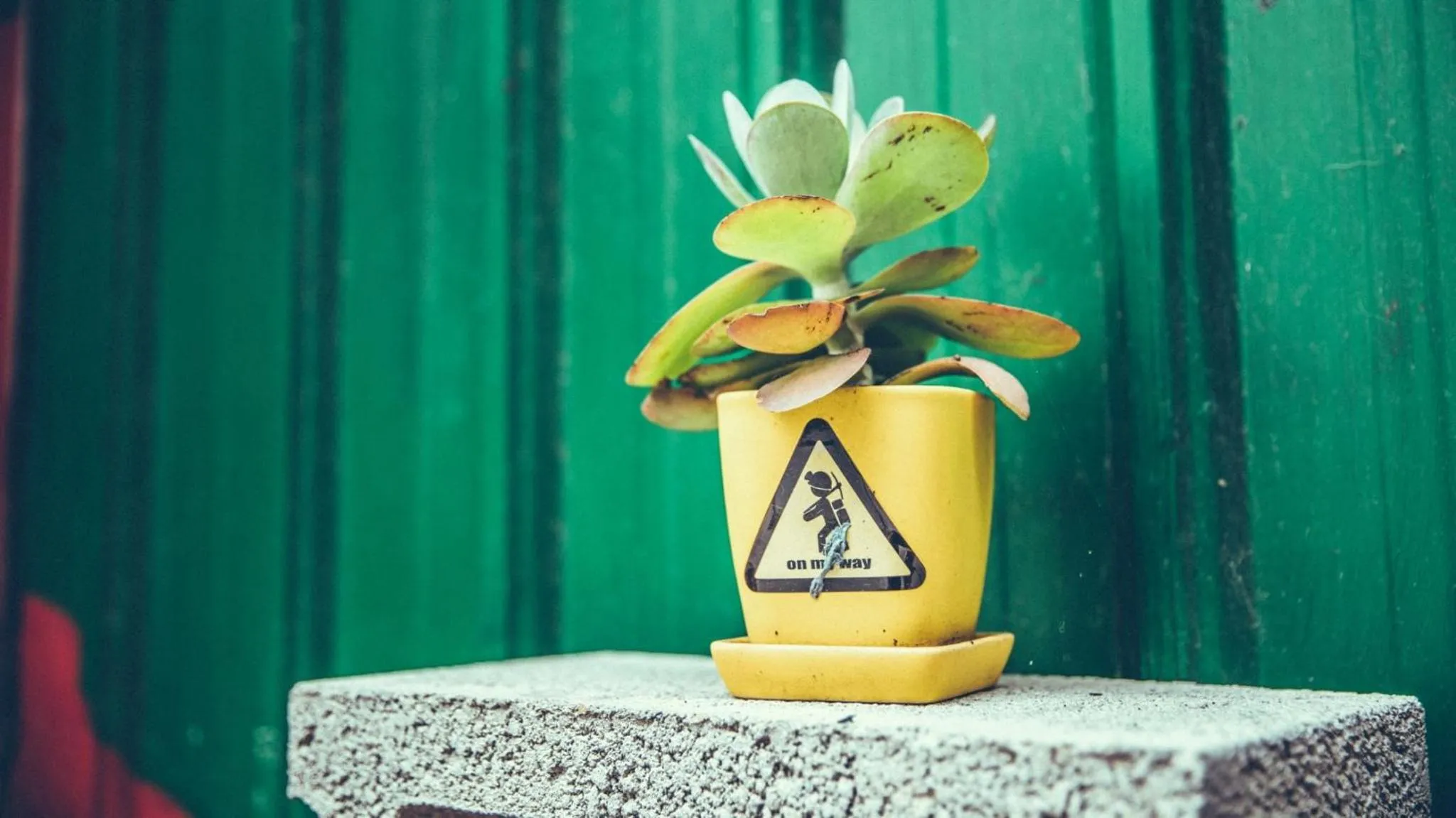 Property building in On My Way Jiufen Hostel 途中九份青旅民宿