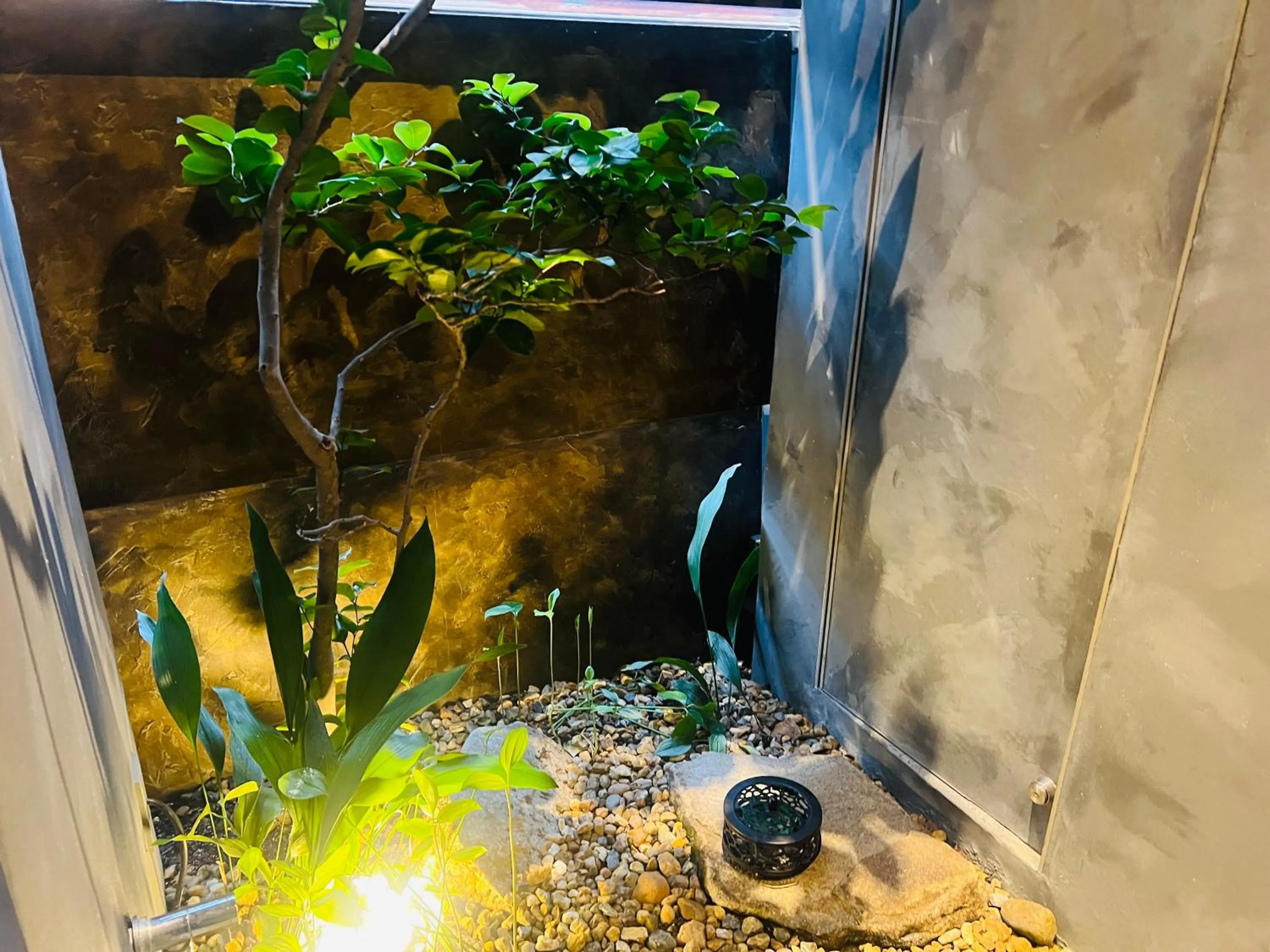 Property building in SIDOU 　INN