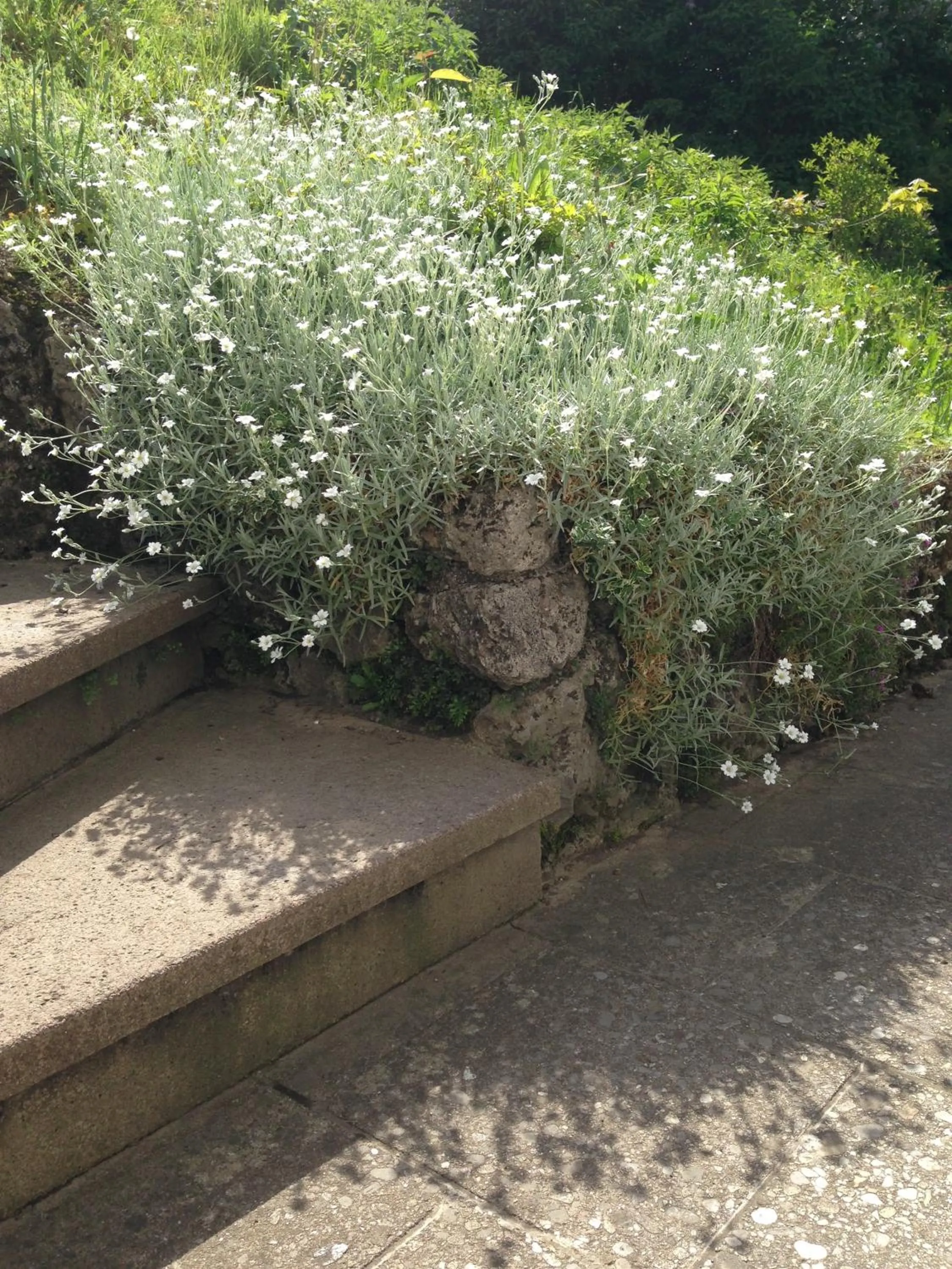 Garden in Die Haslachmühle