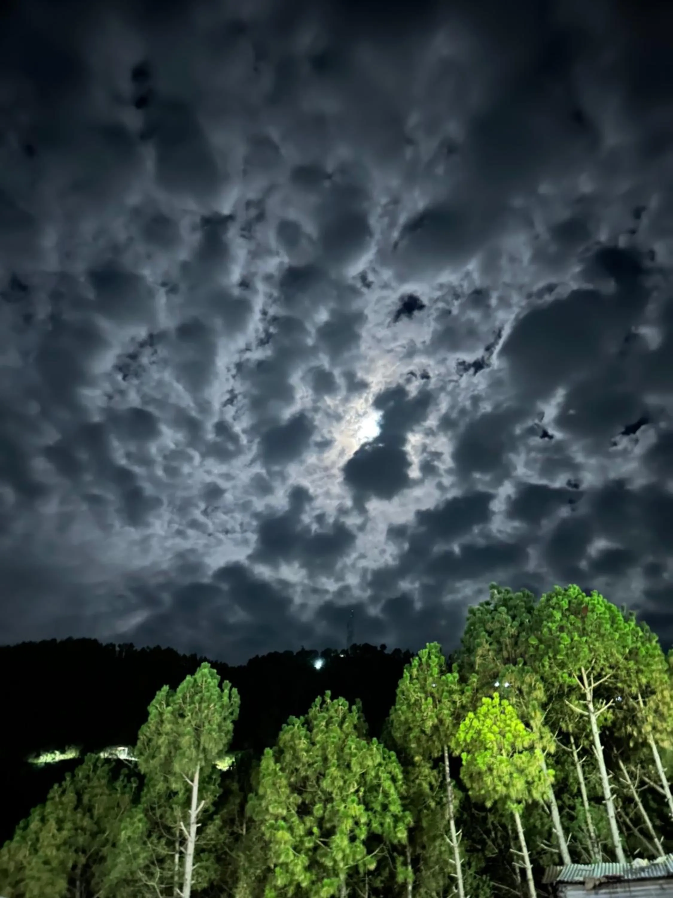 Night in Hotel Maheshwari & Banquet Hall