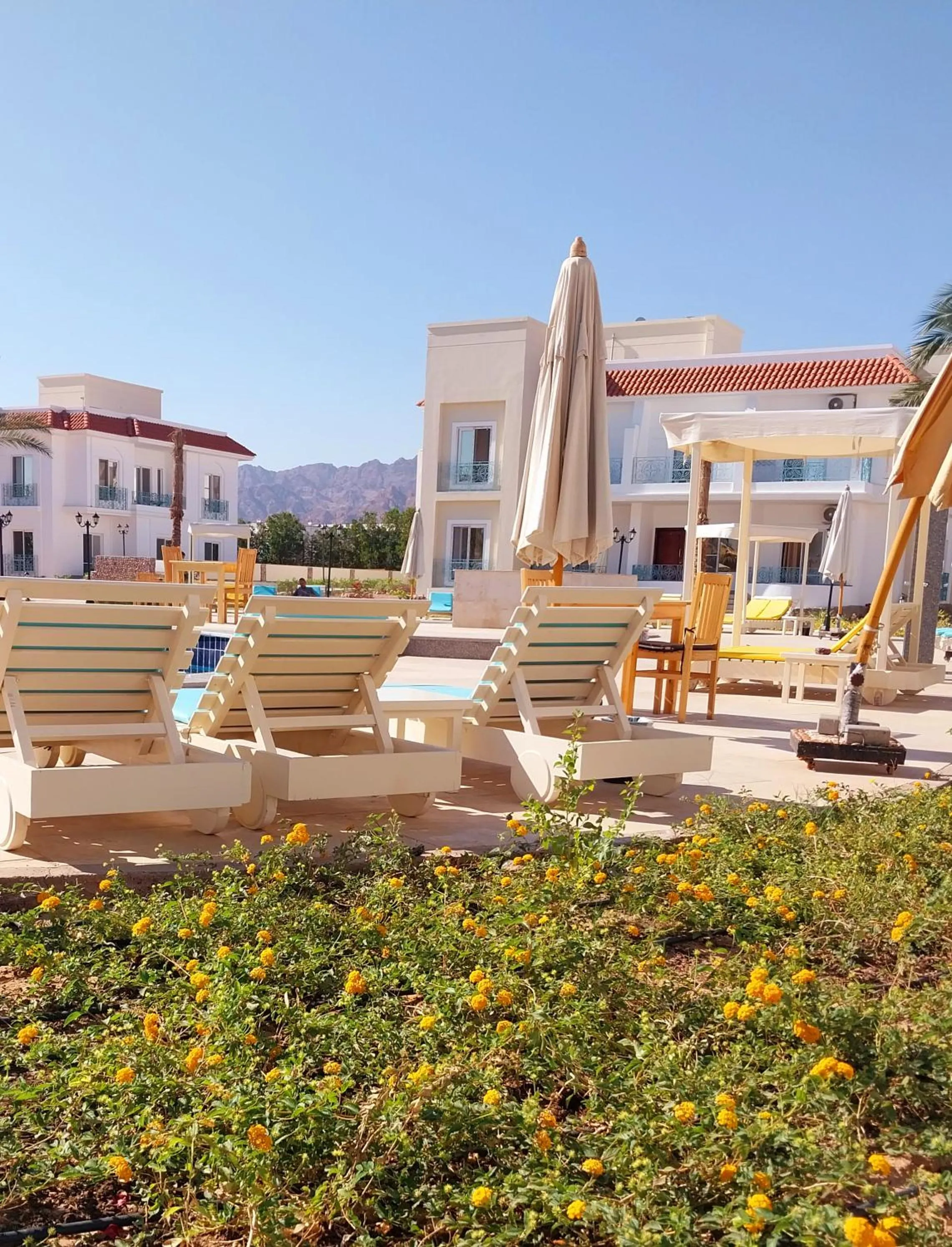 Property building in Blue Residence Dahab