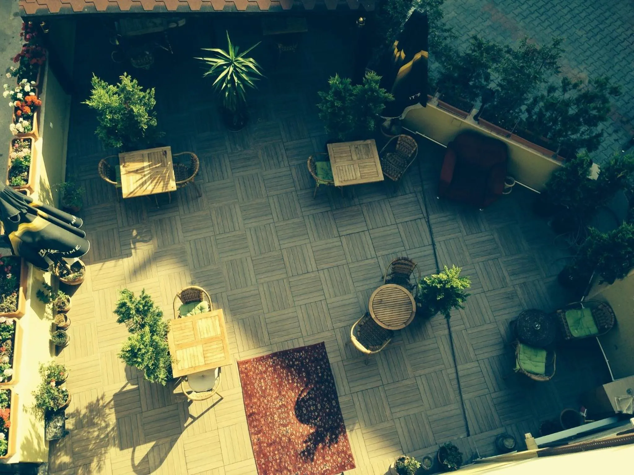 Garden in Araz Apart