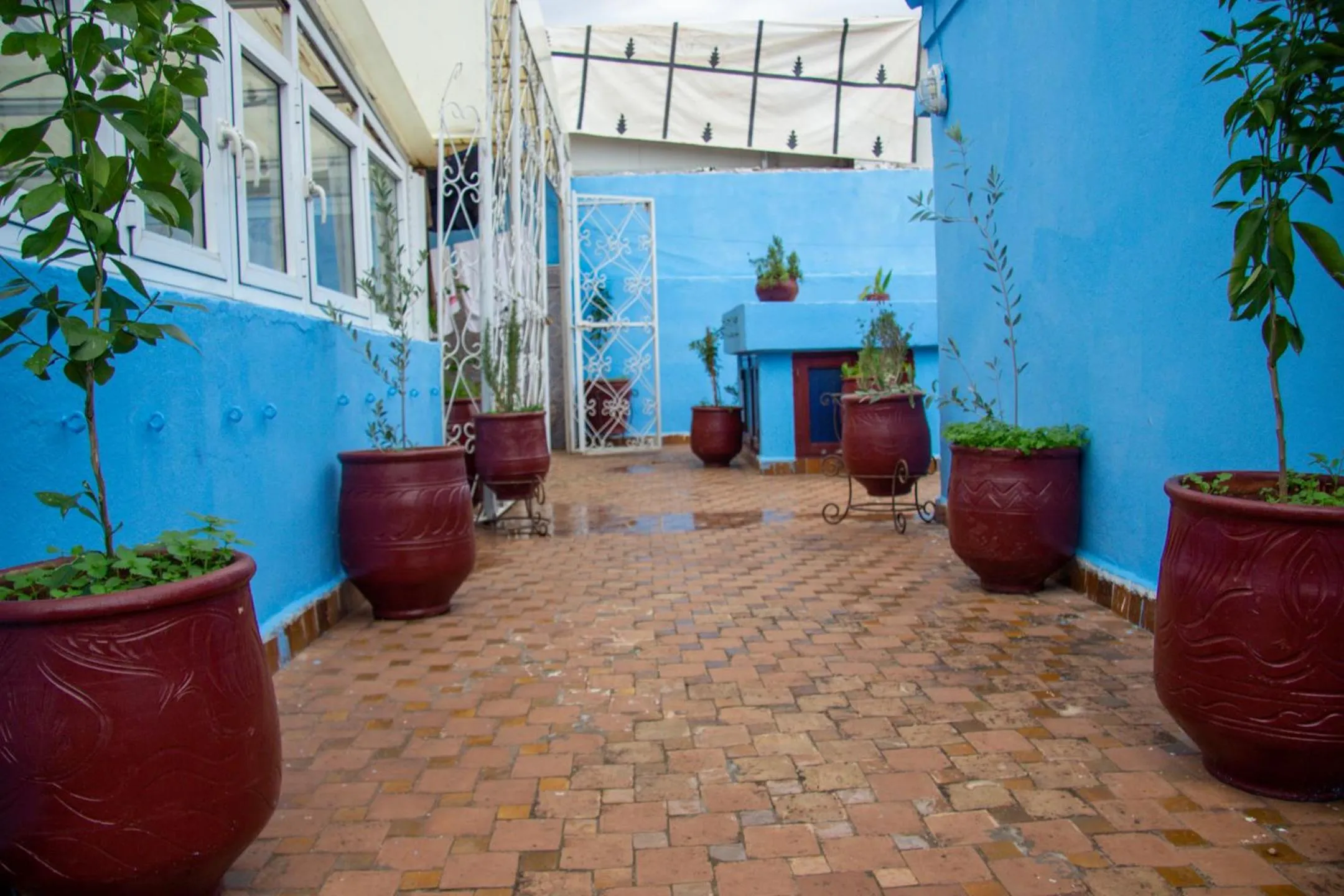 Balcony/Terrace in Riad Baba