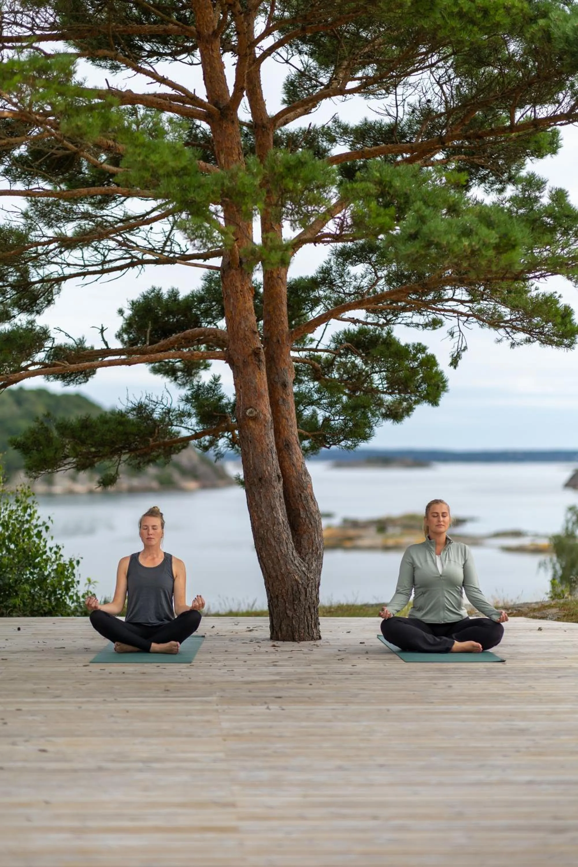 Activities in Tjörnbro Arena