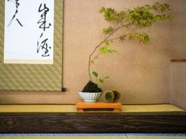 Photo of the whole room in Ryokan Misato