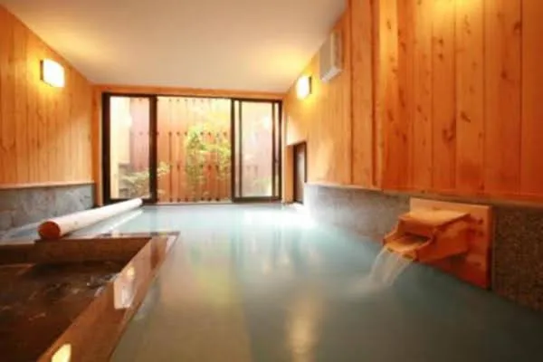 Hot Spring Bath in Ryokan Misato