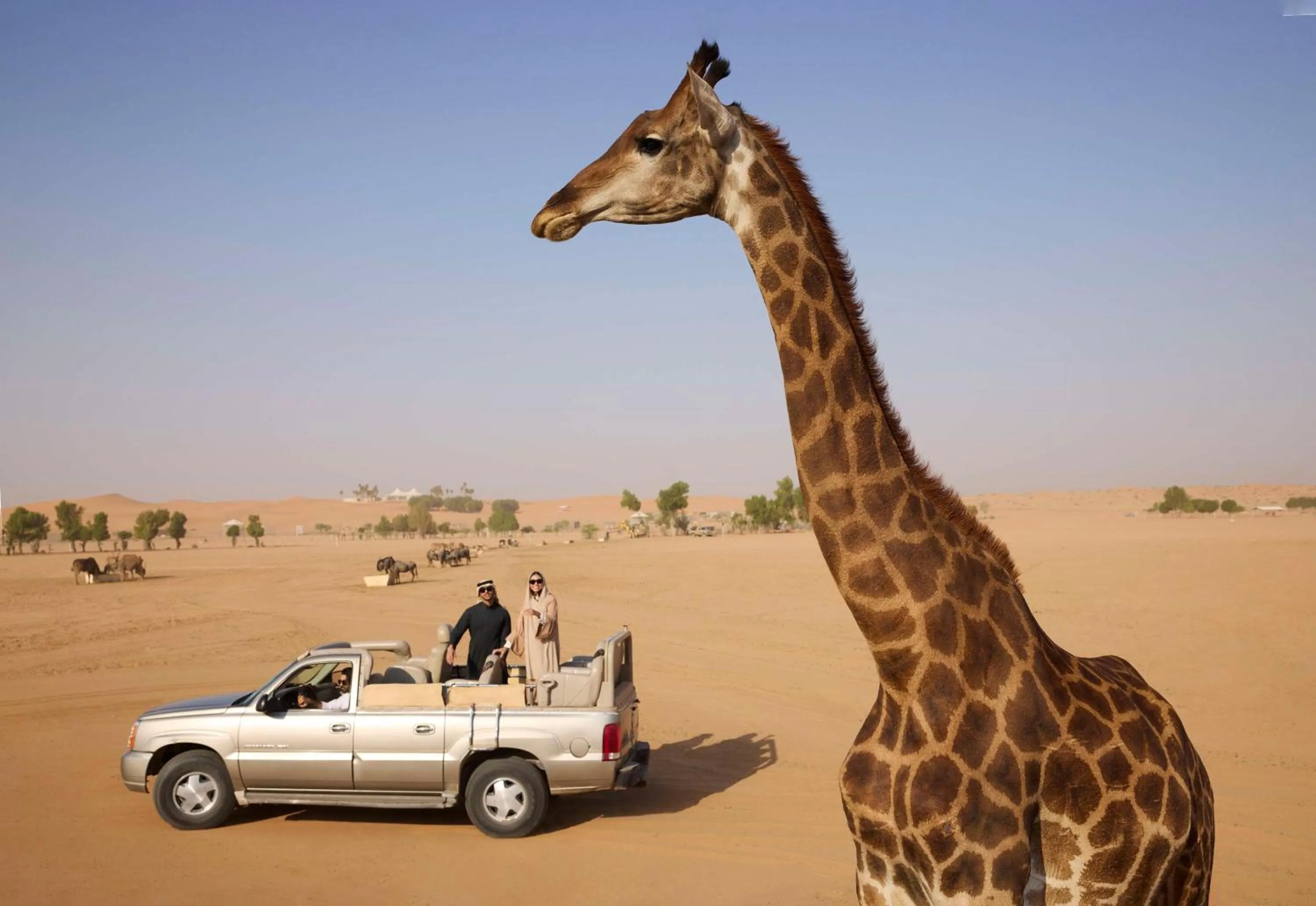 Other in Nofa Riyadh, A Radisson Collection Resort