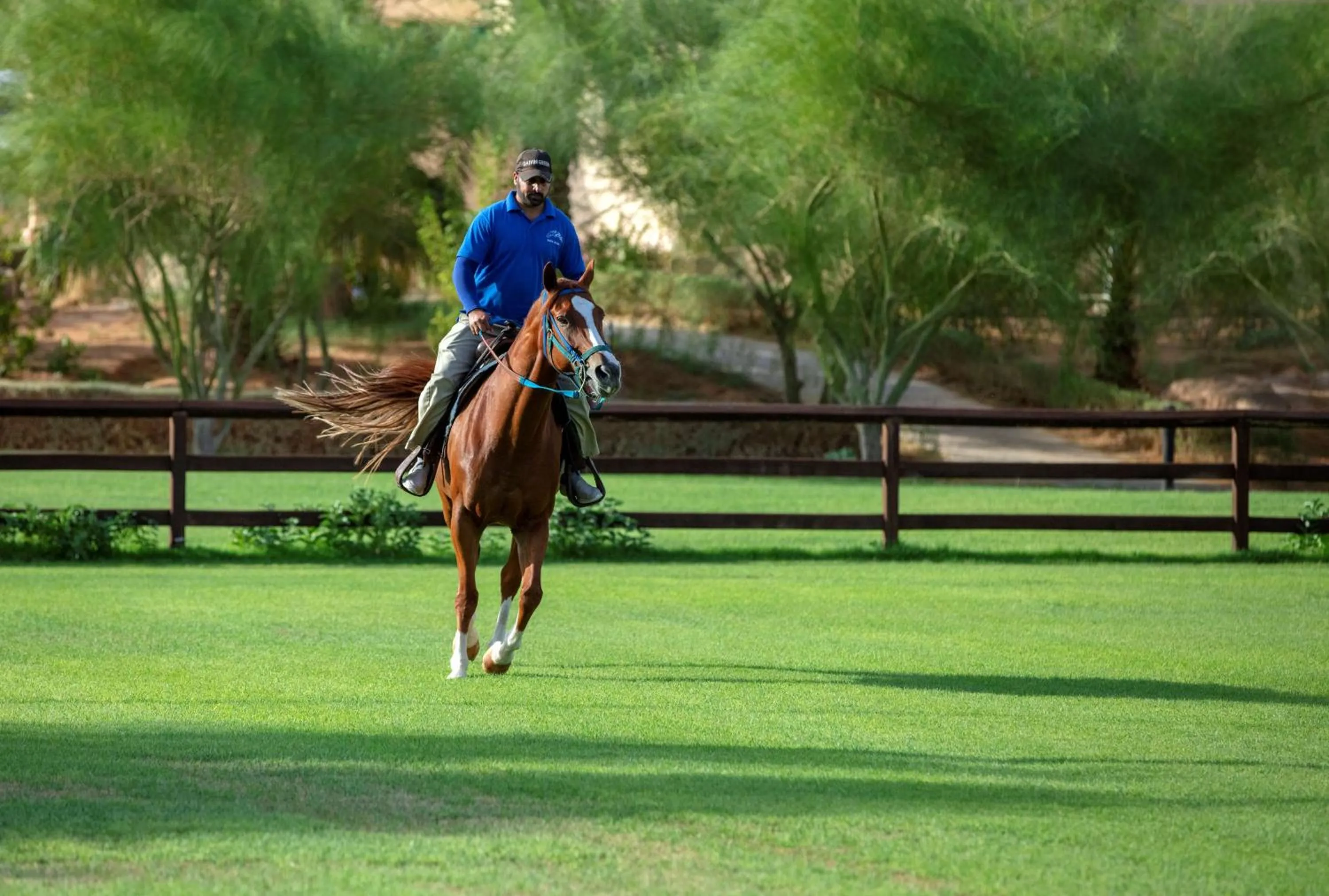 Other in Nofa Riyadh, A Radisson Collection Resort