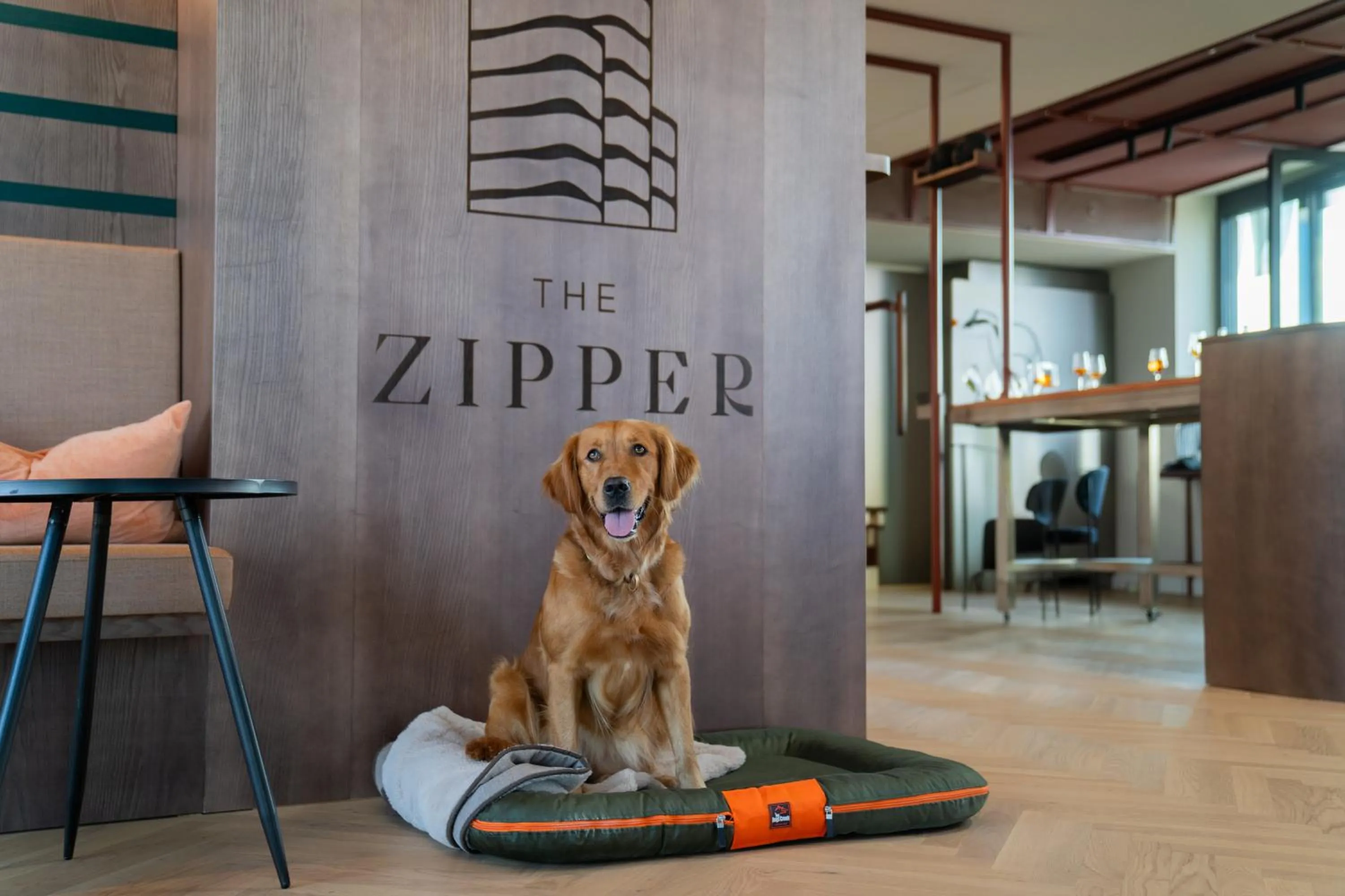 Pets in The Zipper Hotel und Apartments