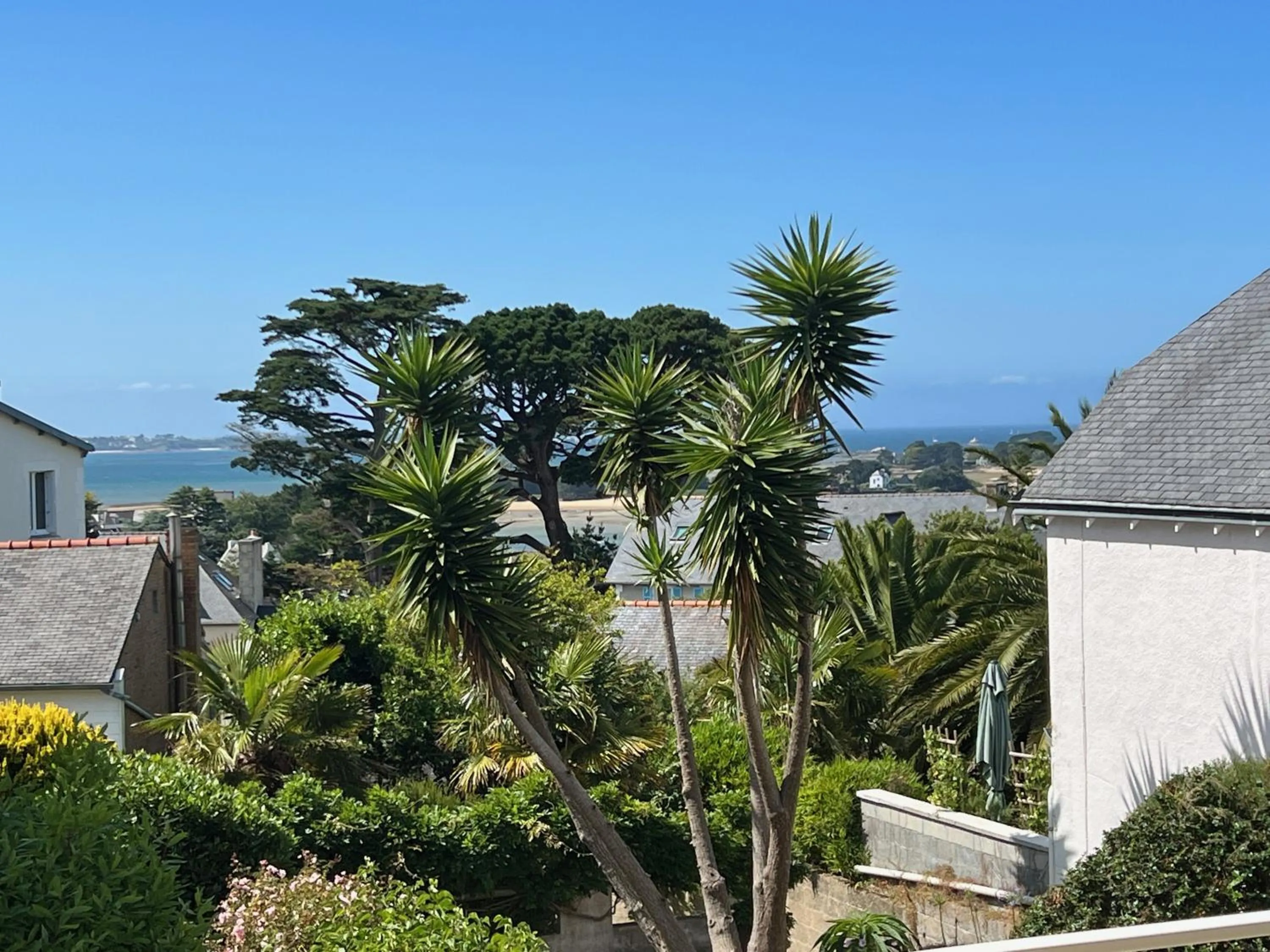 Appartement vue mer