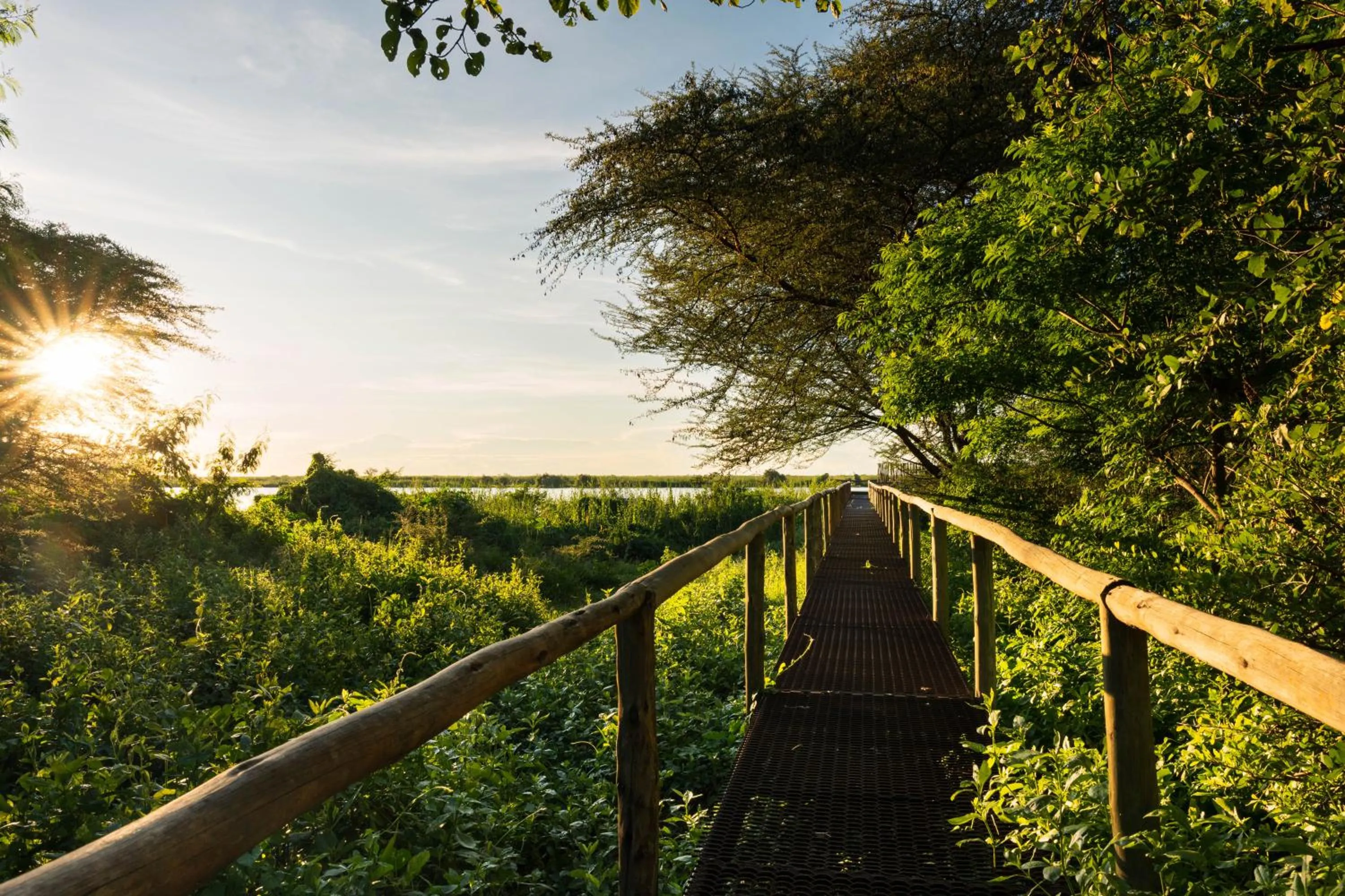 Property building in Chobe River Lodge