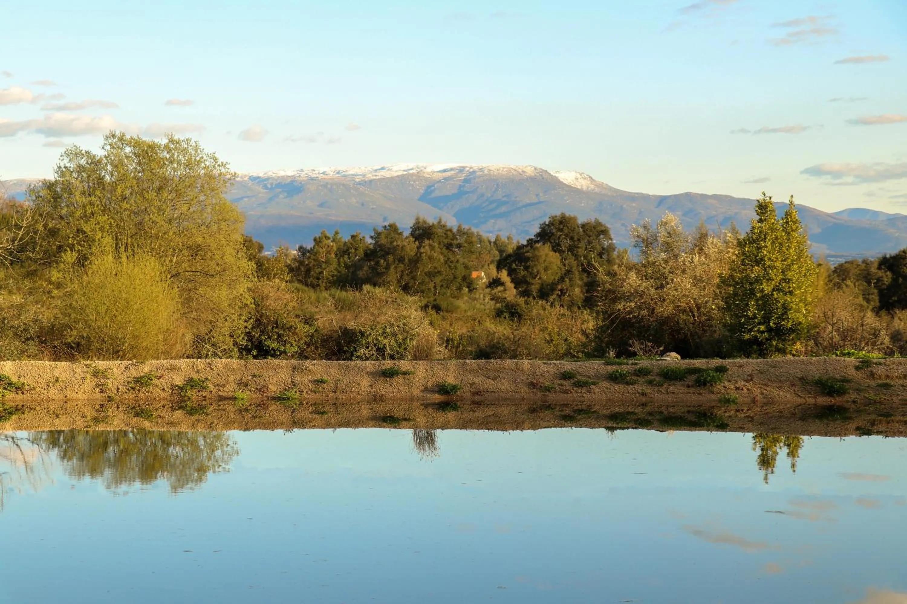 View (from property/room) in Puro Dão Hotel & Spa