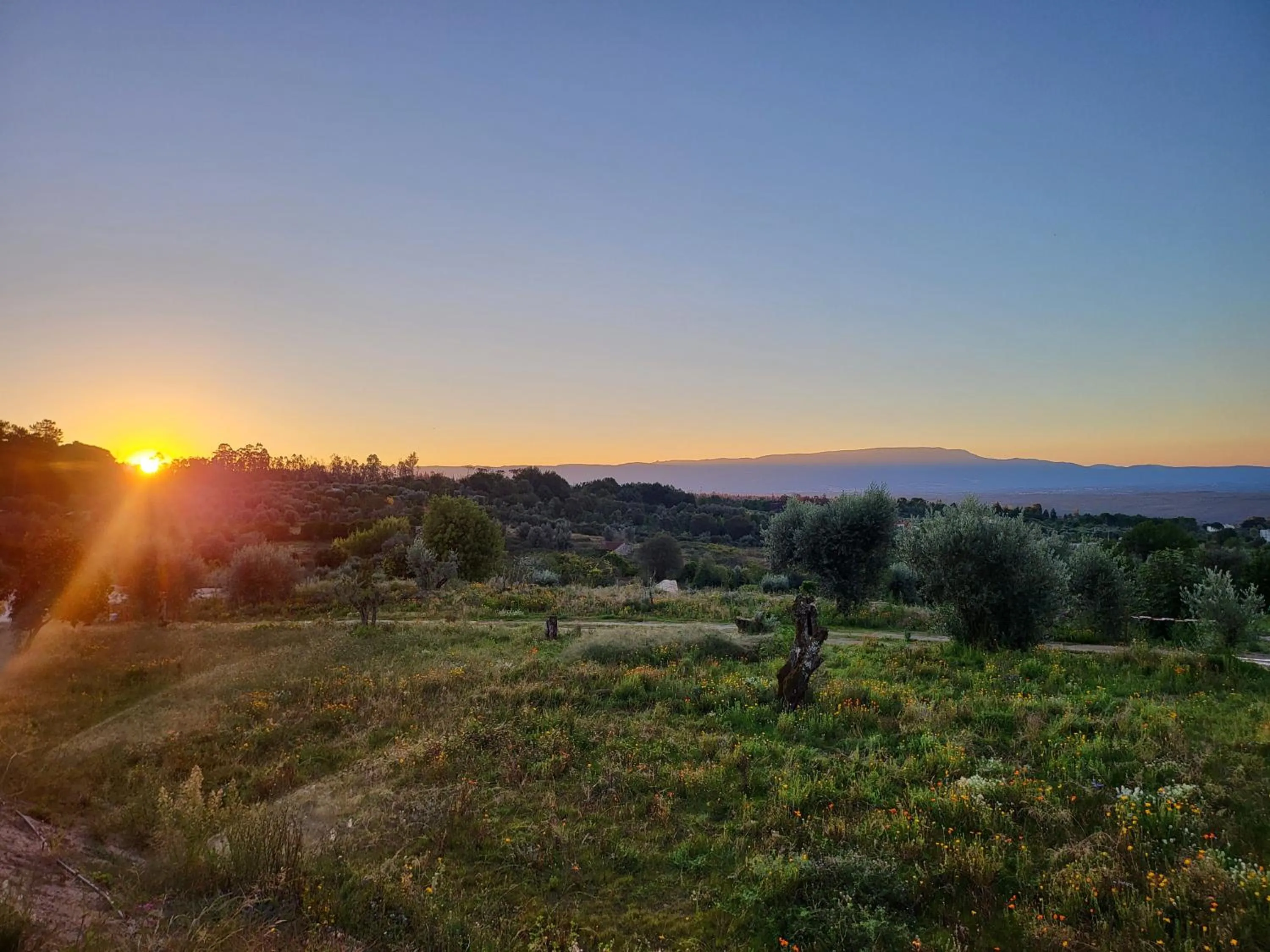 View (from property/room) in Puro Dão Hotel & Spa