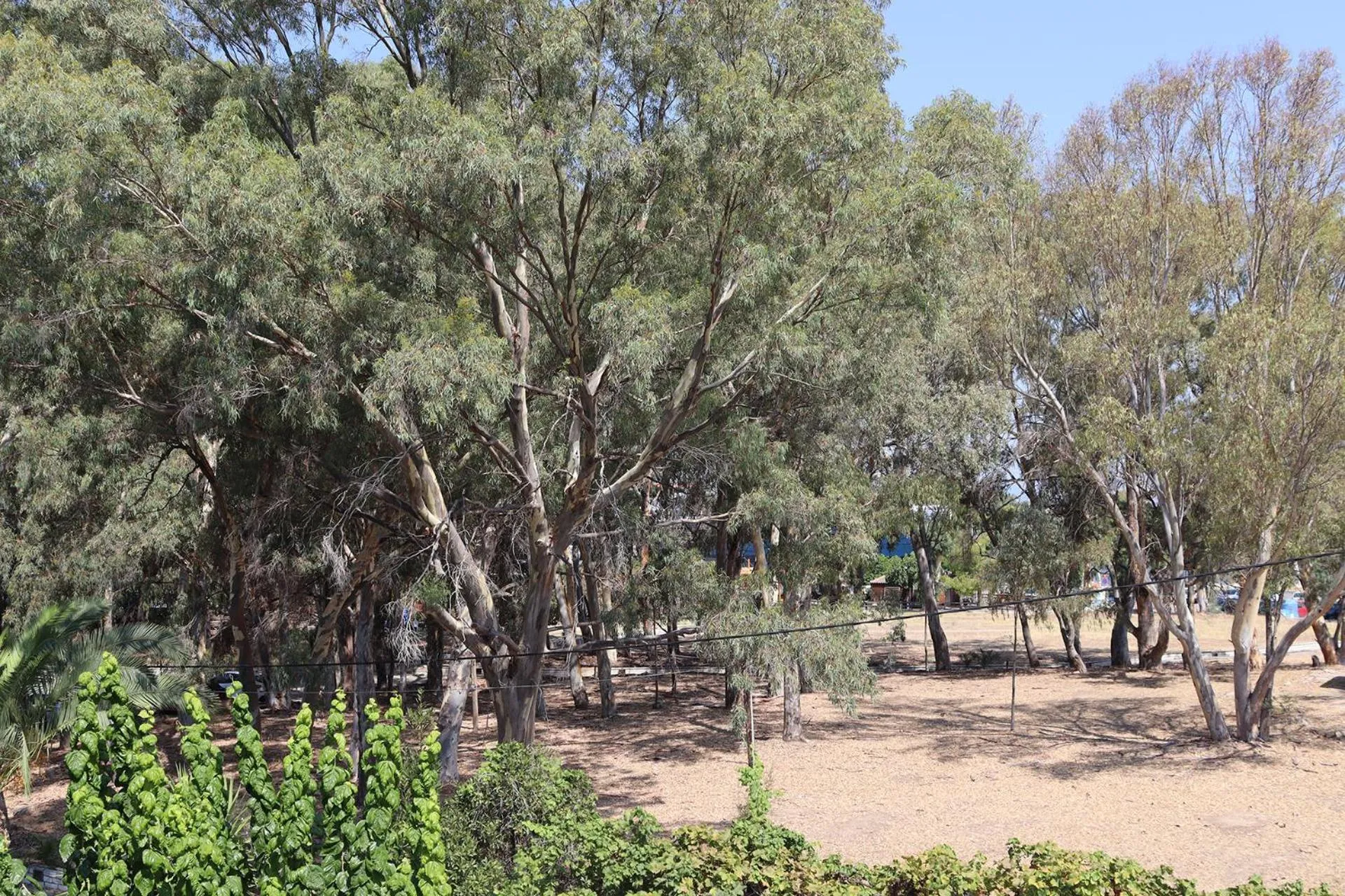 View (from property/room) in Hotel Theoxenia