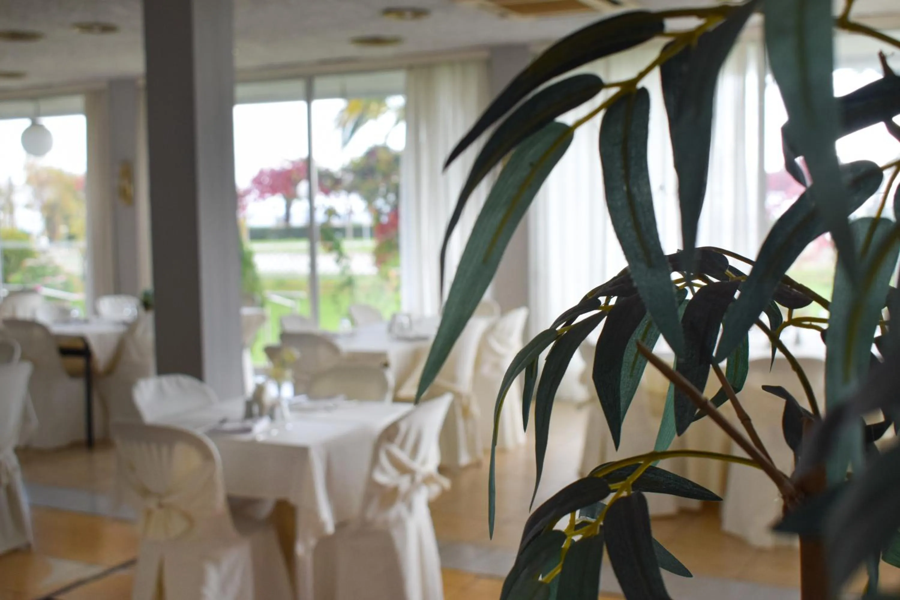 Banquet/Function facilities in Hotel Theoxenia