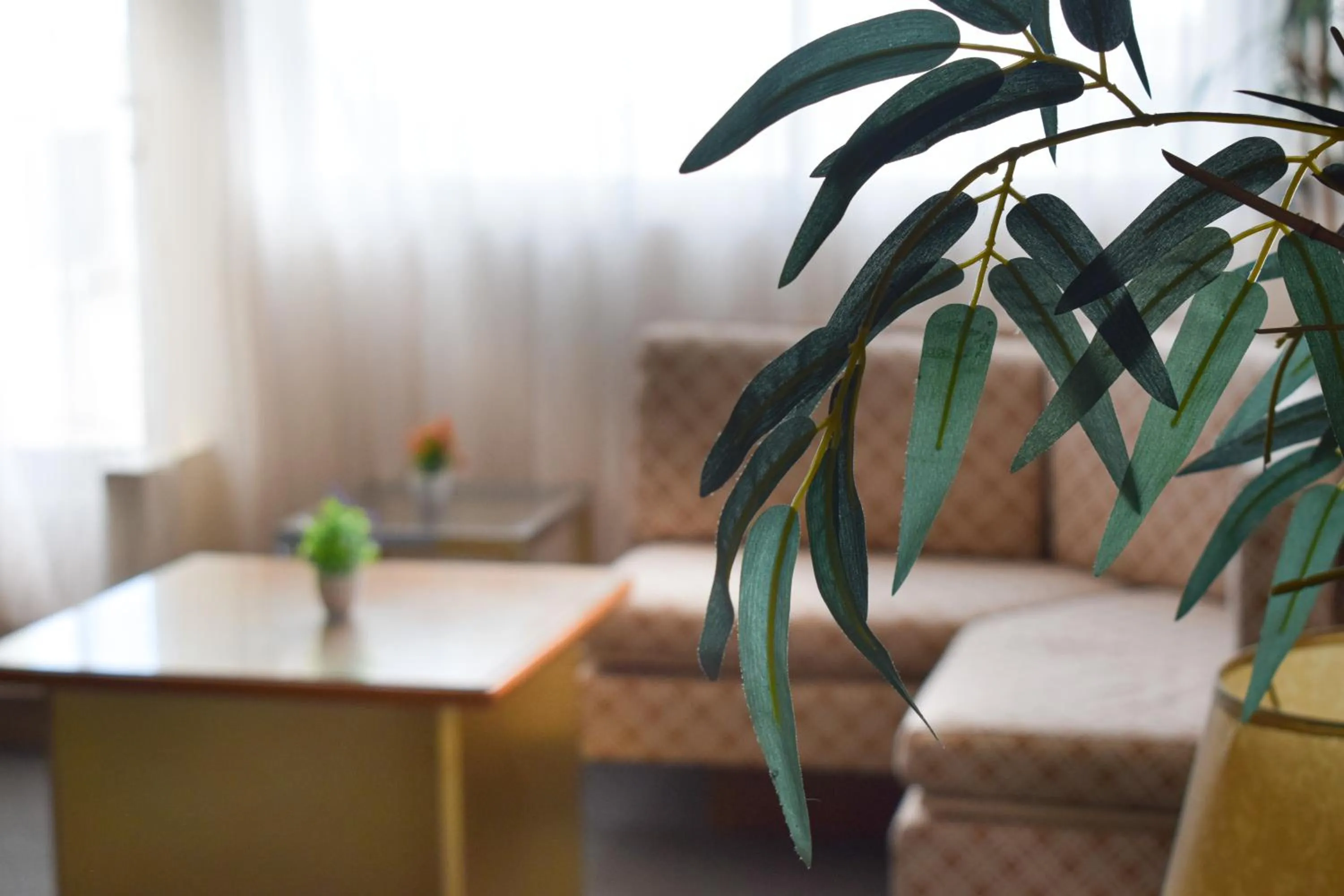 Seating area in Hotel Theoxenia