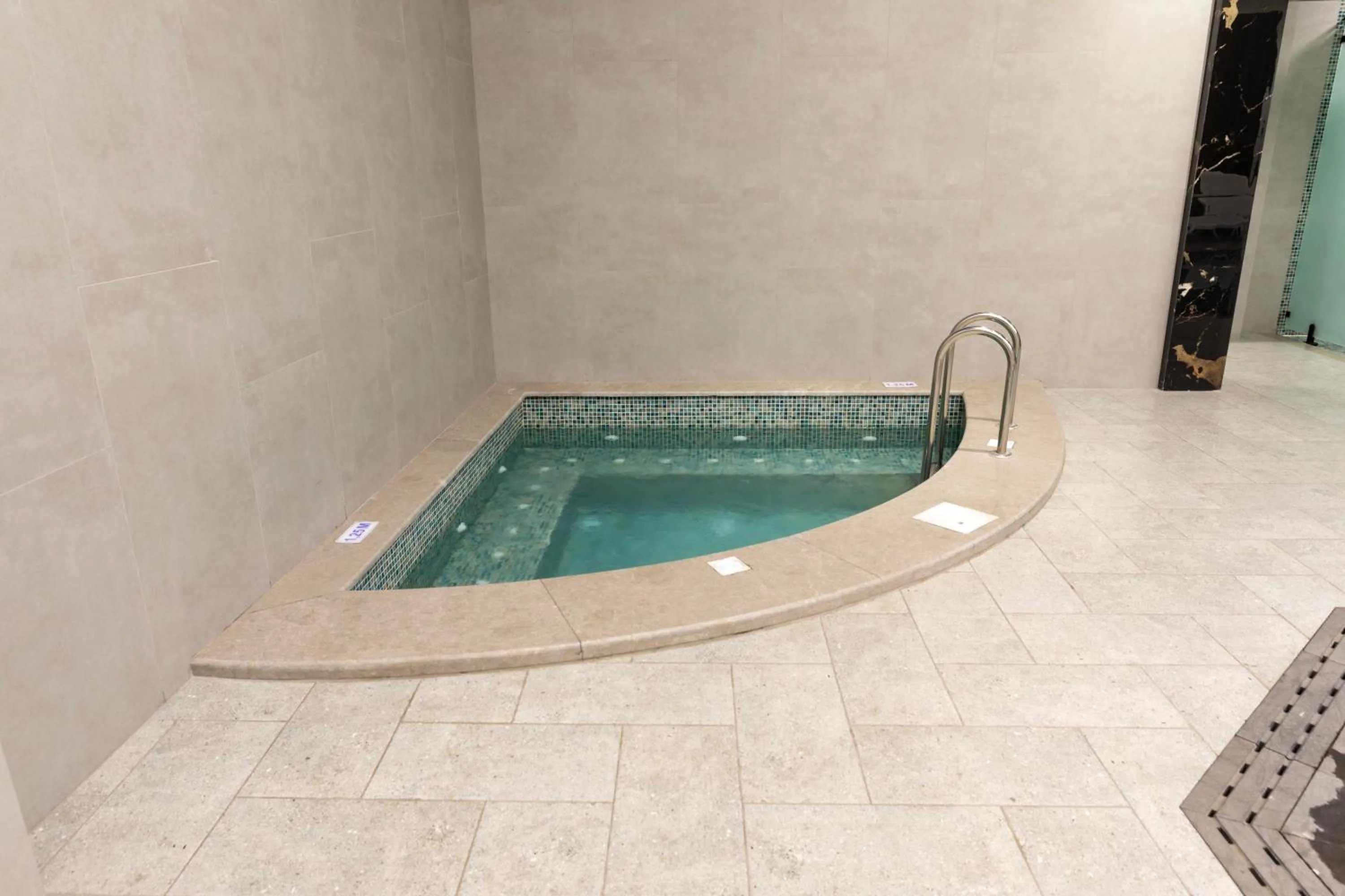 Hot Tub in Bellevue Park Royal Hotel