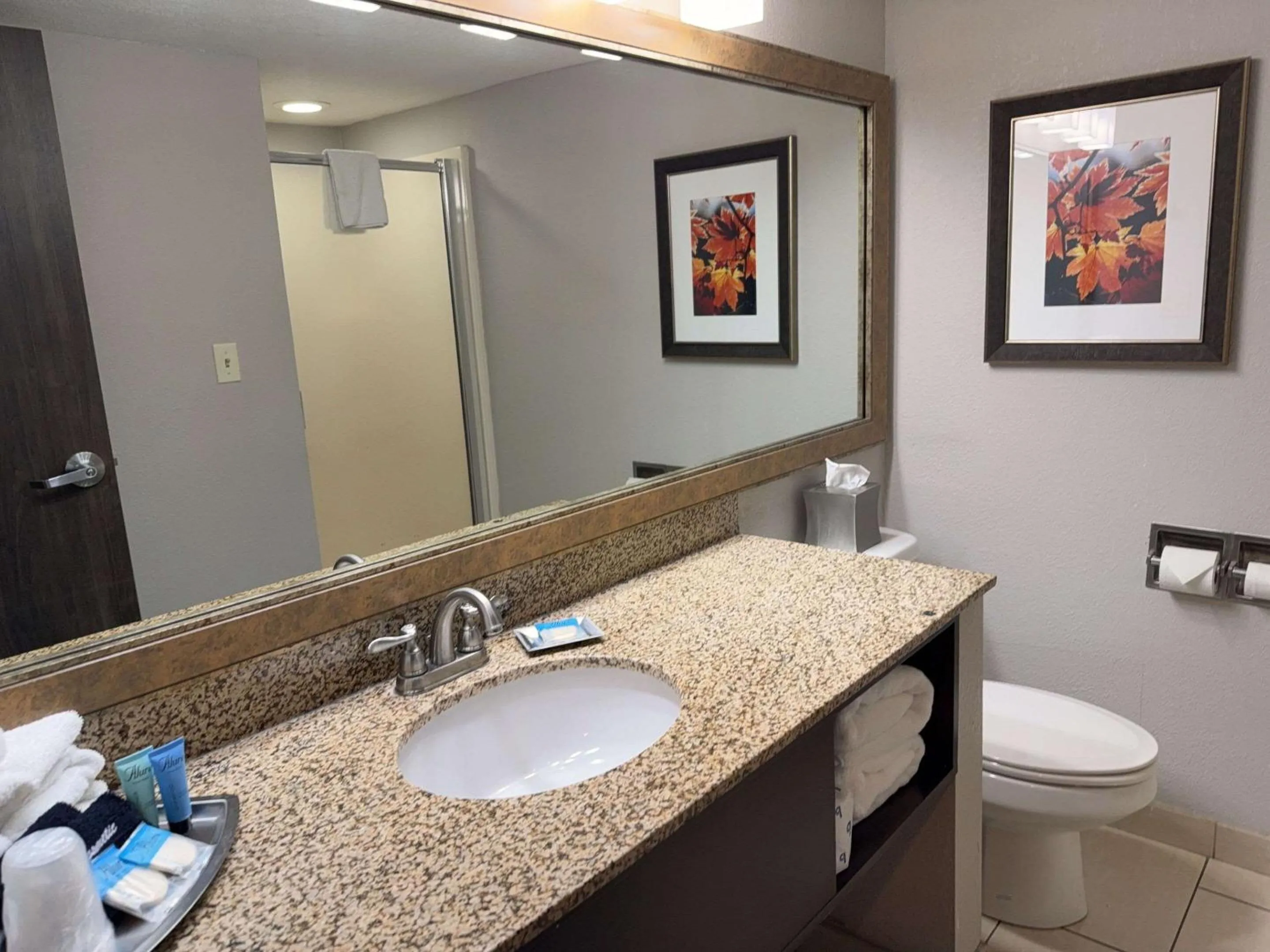 Bedroom in Branson Hillside Hotel