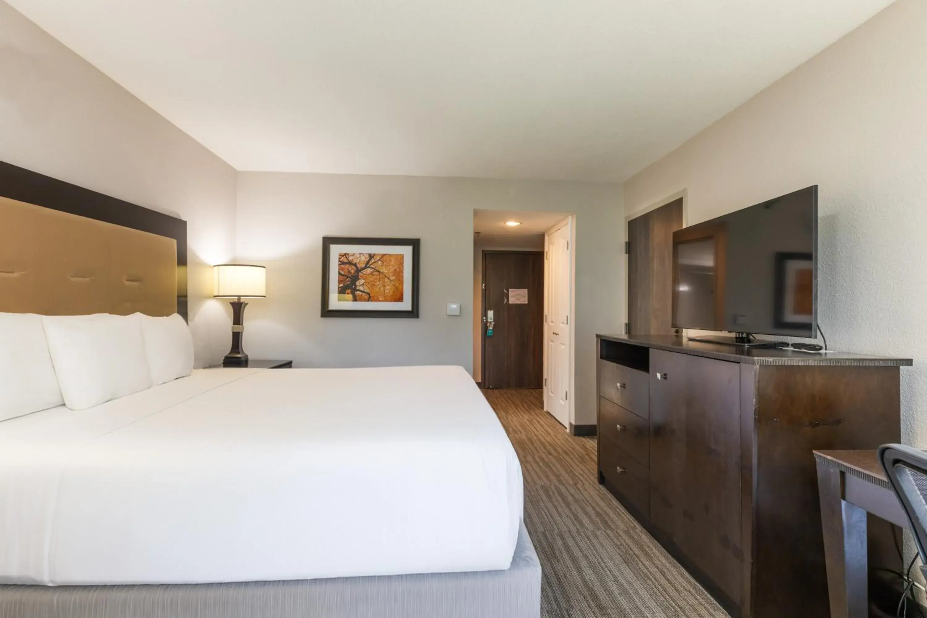 Bed in Branson Hillside Hotel Bed in Branson Hillside Hotel