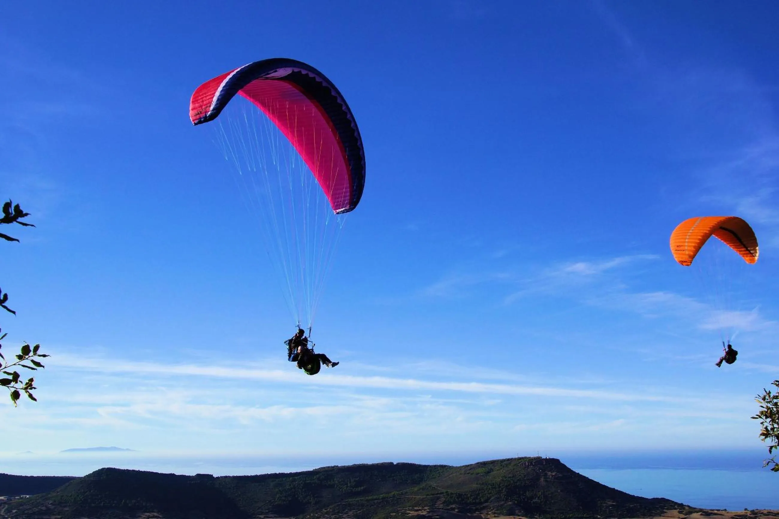 Activities in Hotel La Tartaruga Bianca