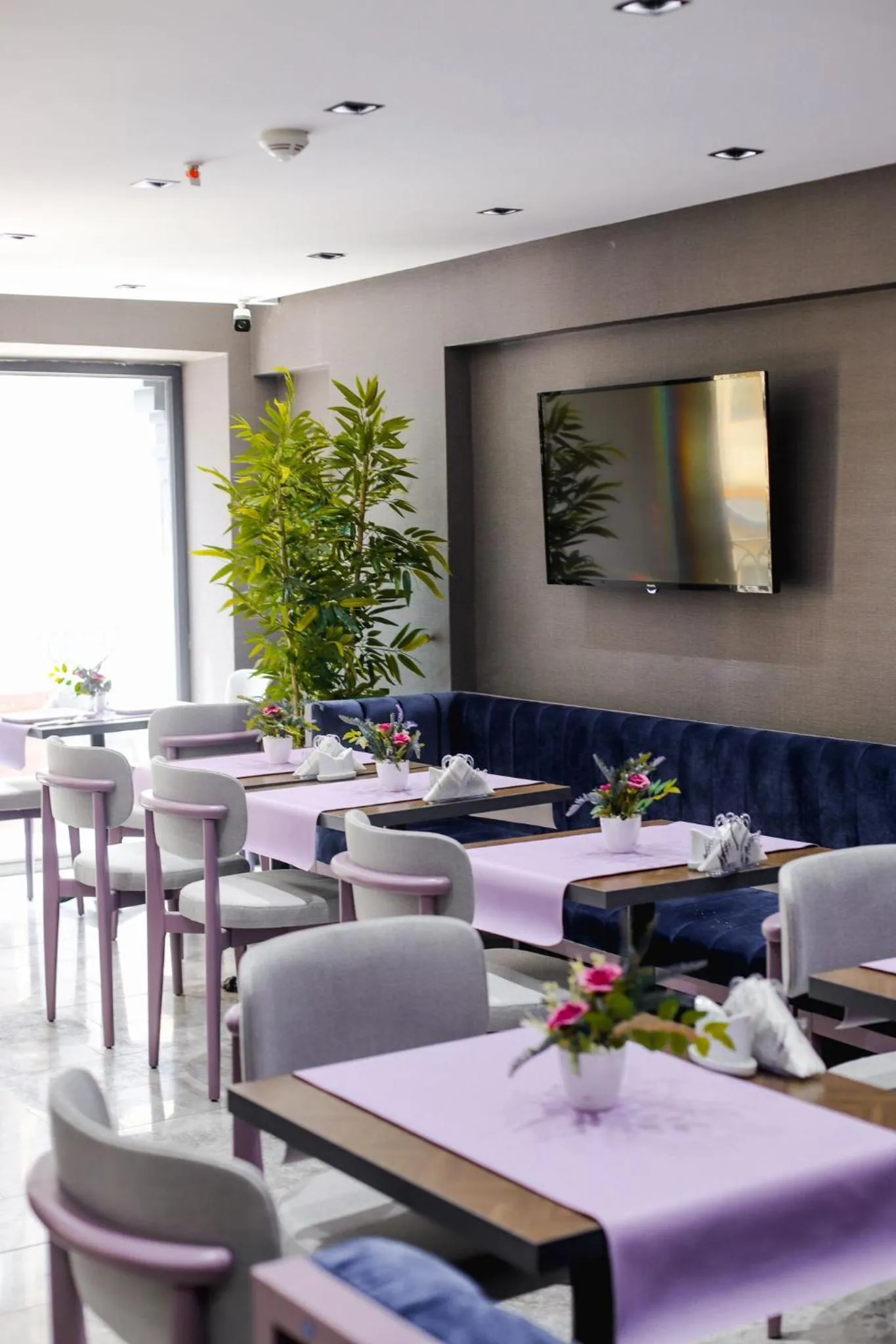 Restaurant/places to eat in THE ROYALS HOTEL