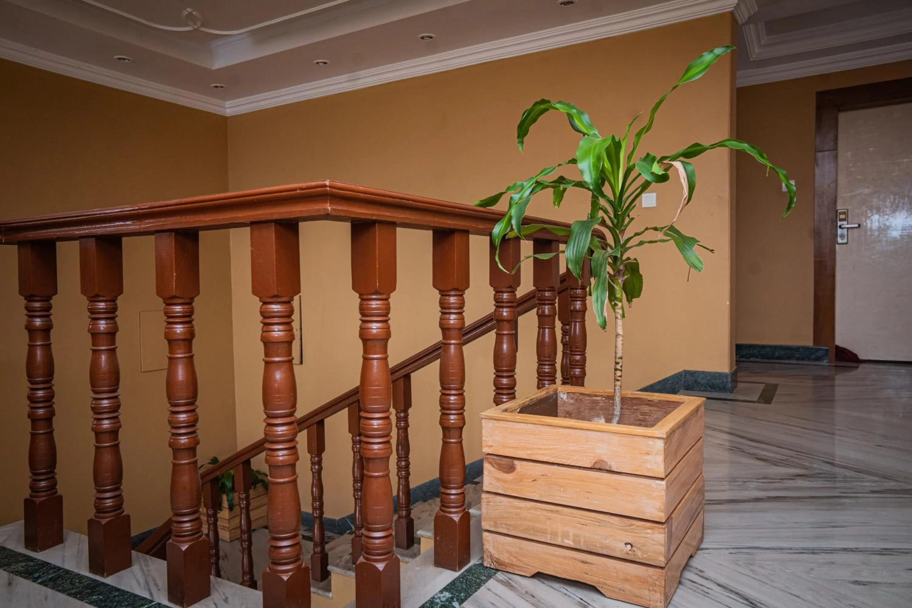 Balcony/Terrace in Hotel Crown Himalayas