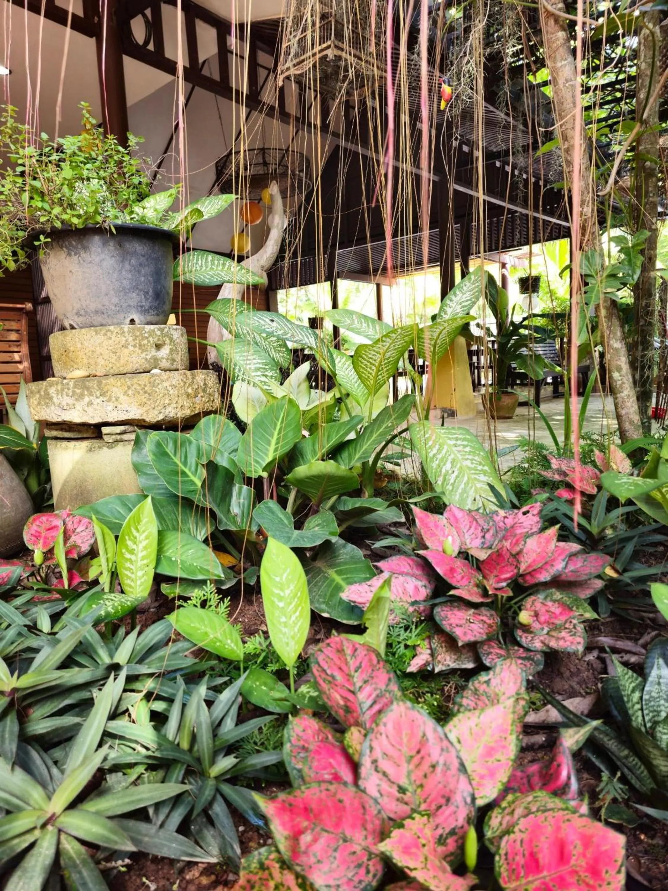 Garden in Baan Panwa Resort