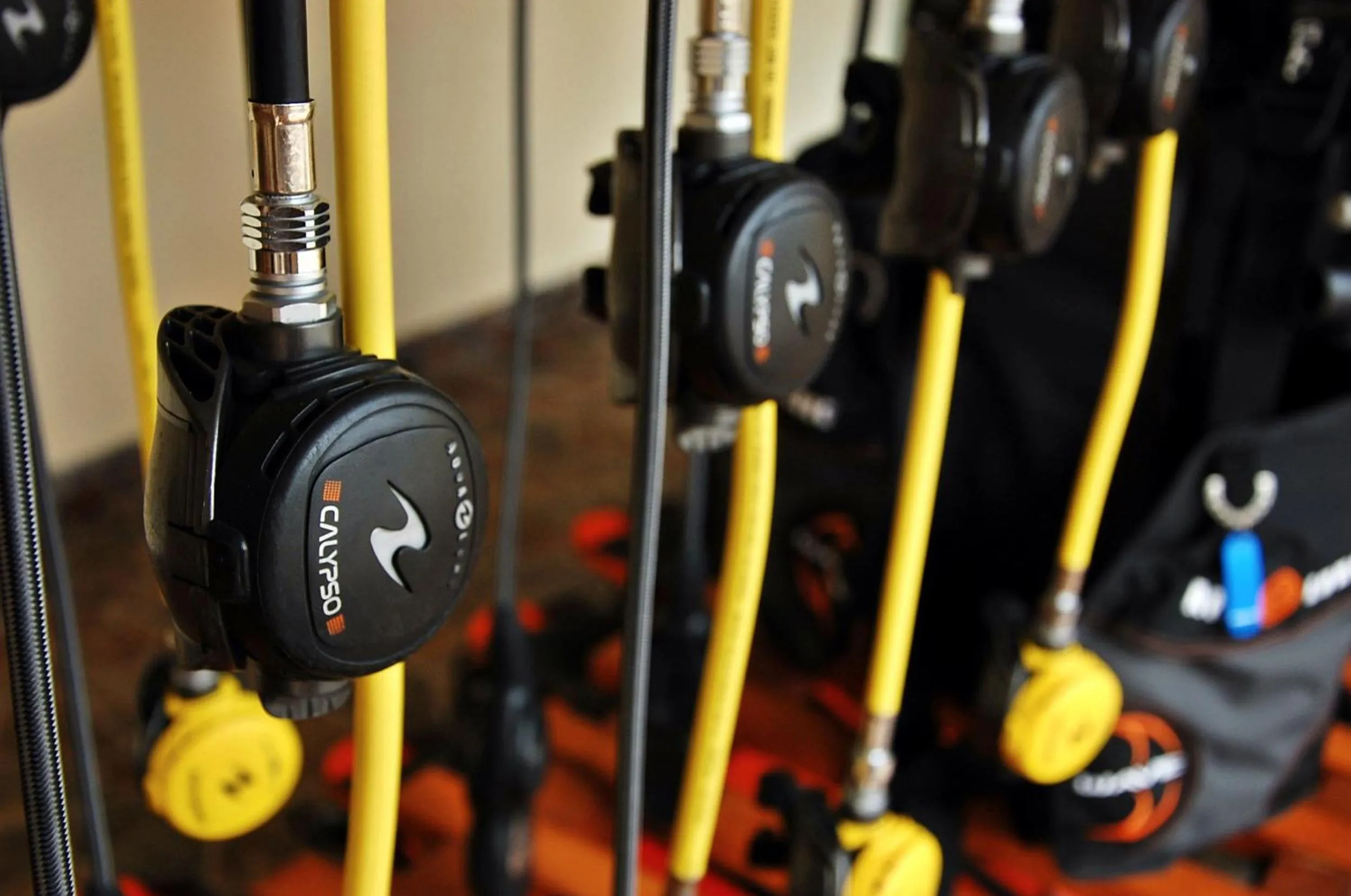 Diving in Bali Dive Resort and Spa