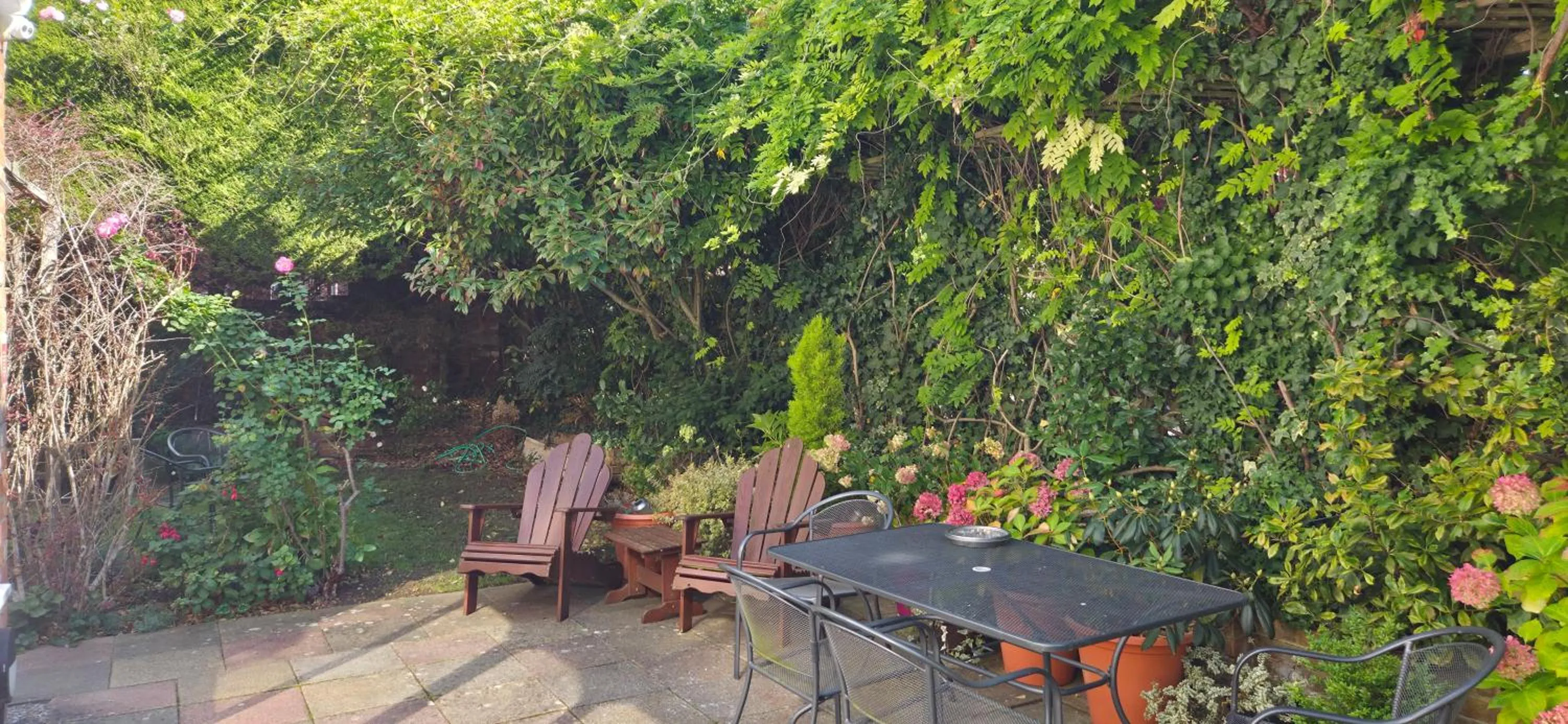 Garden in Edward Hotel