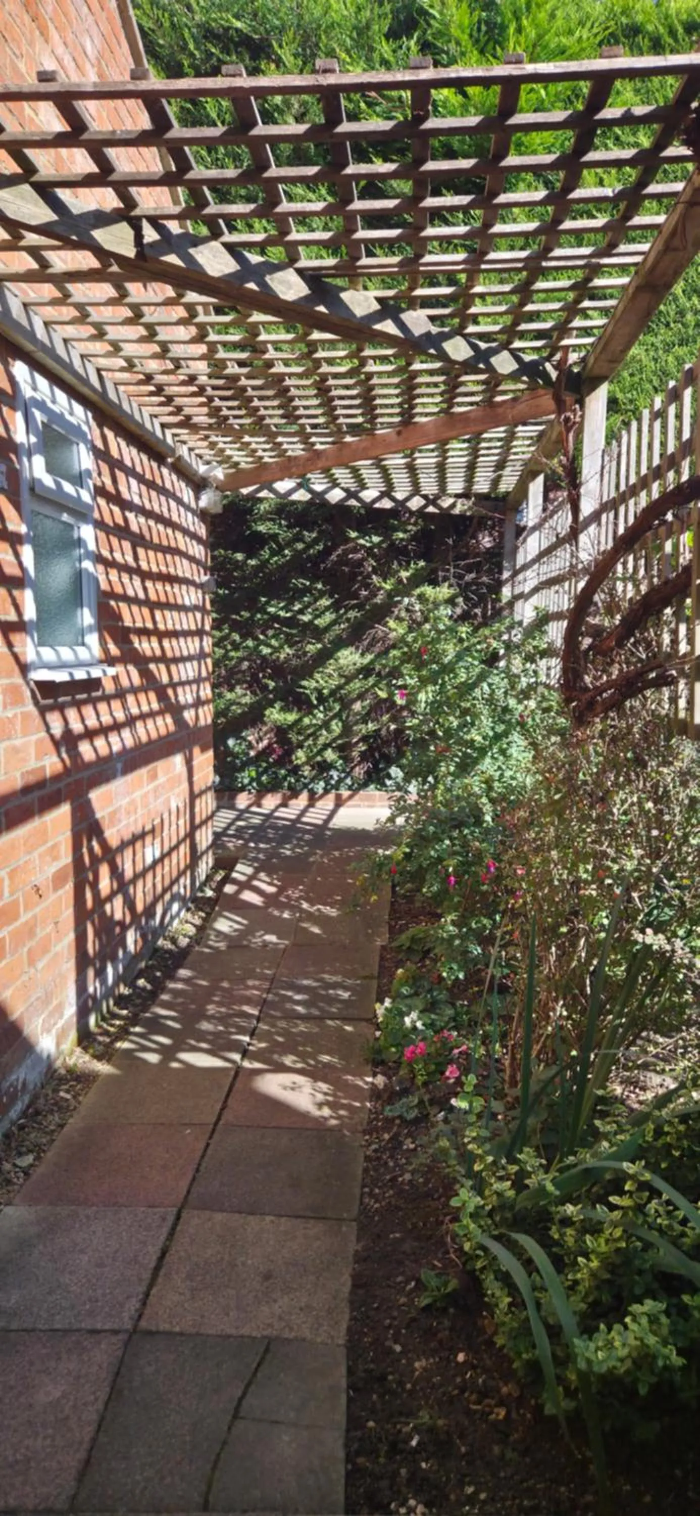 Garden in Edward Hotel