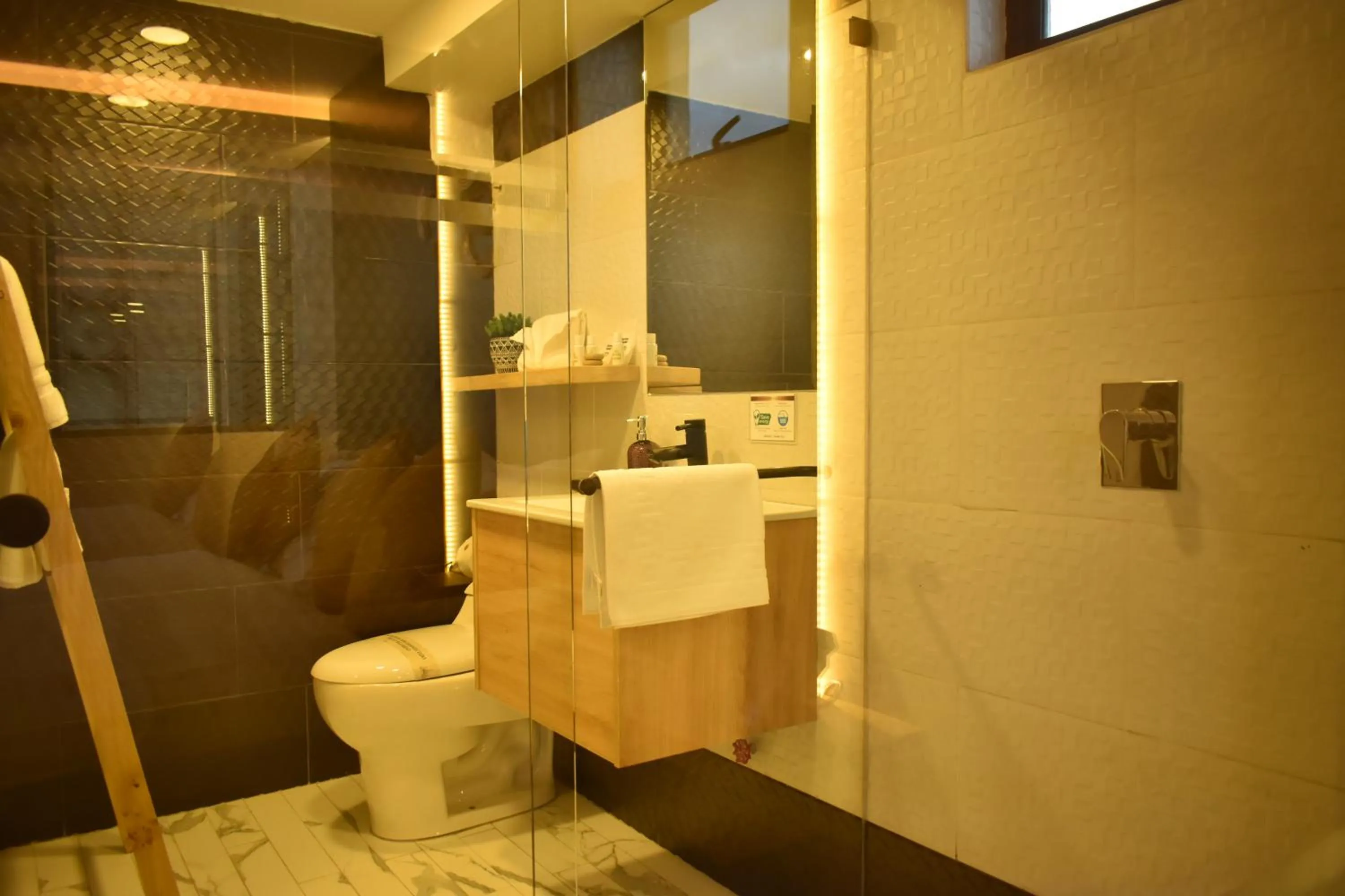 Shower in Hotel Vaway