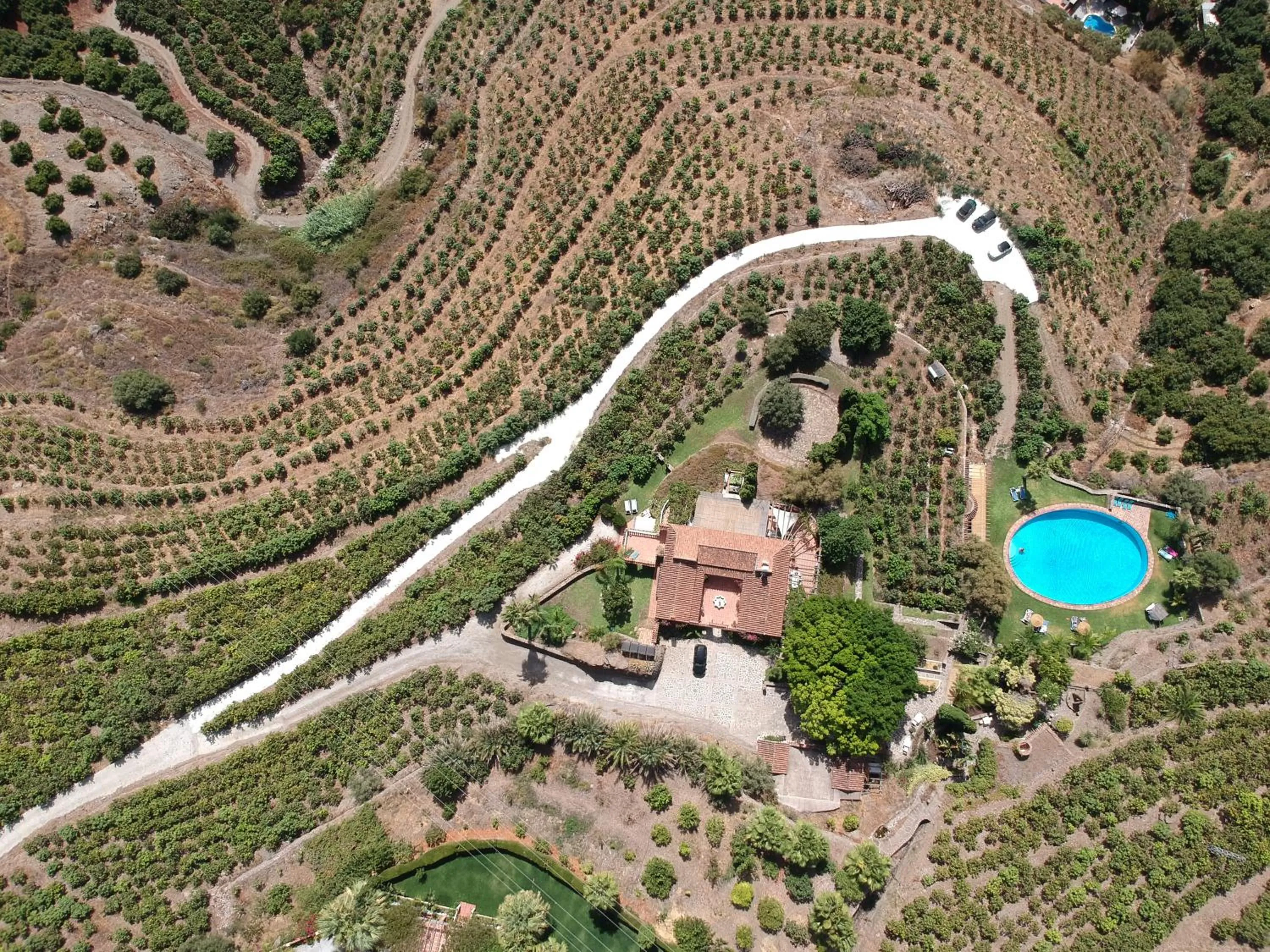 Garden in La Casa del Burro
