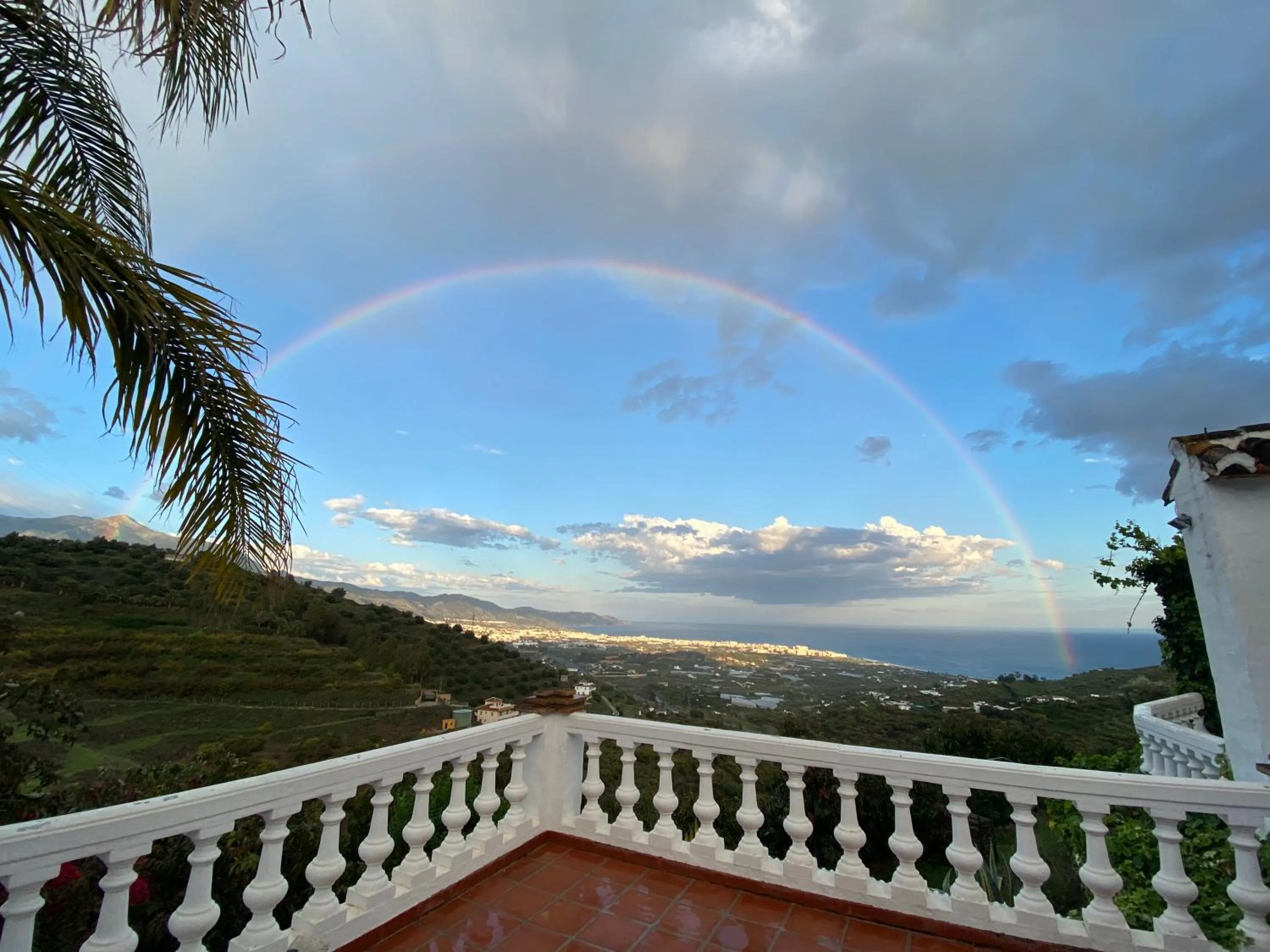 Garden in La Casa del Burro