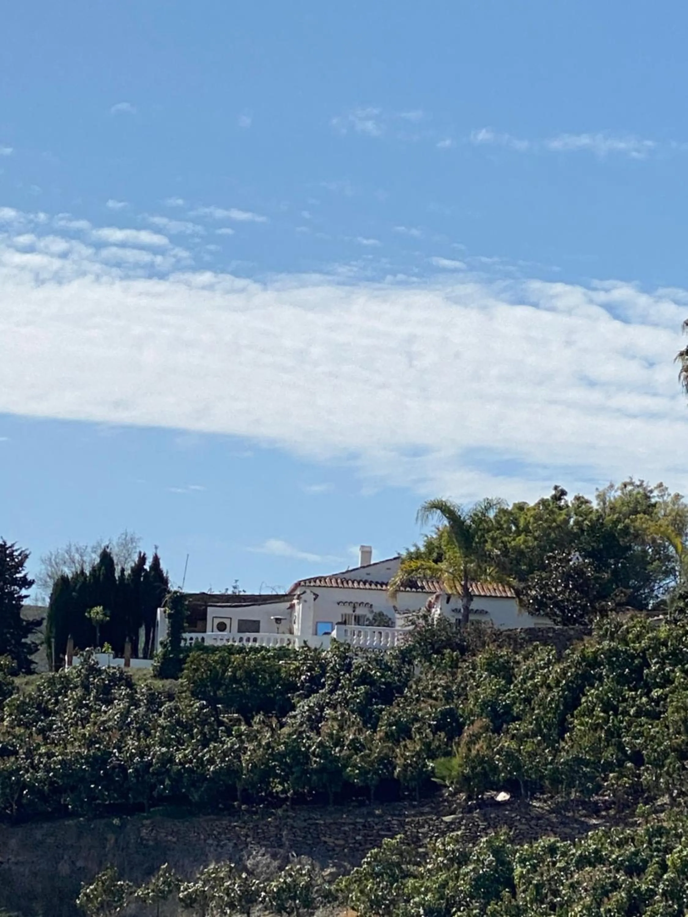 View (from property/room) in La Casa del Burro